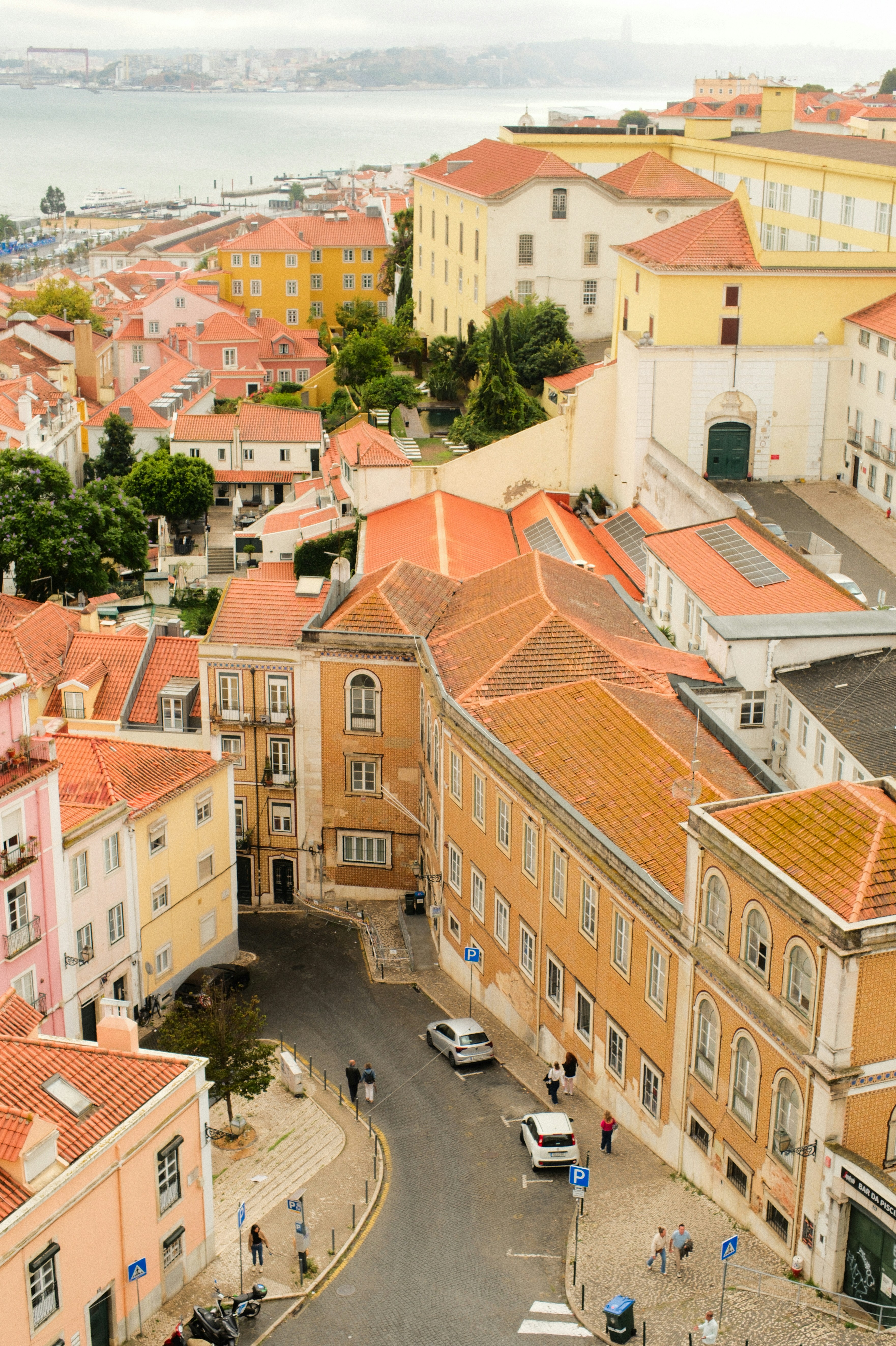 Photo by farnaz________