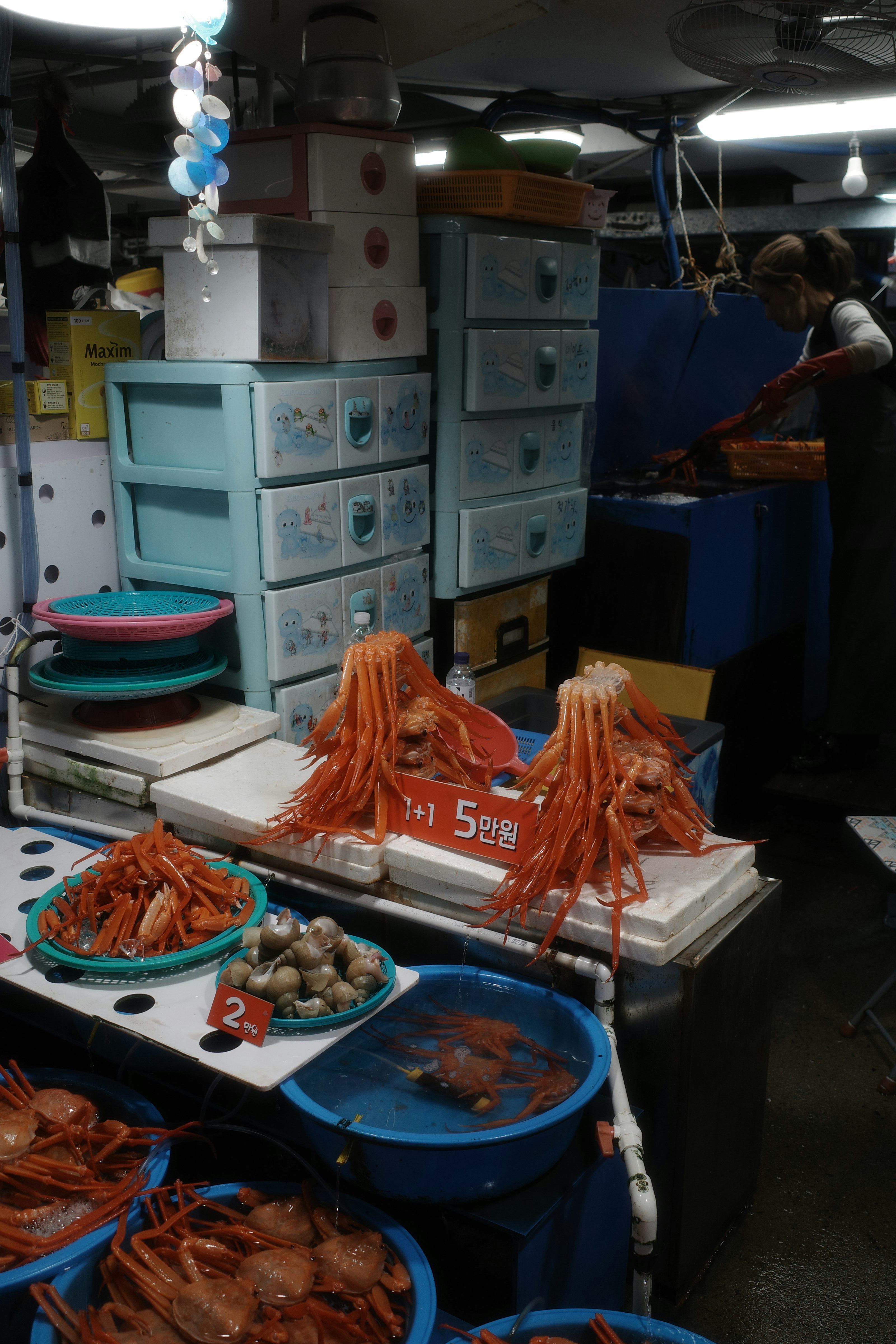 Fresh crabs and shellfish displayed at market stall