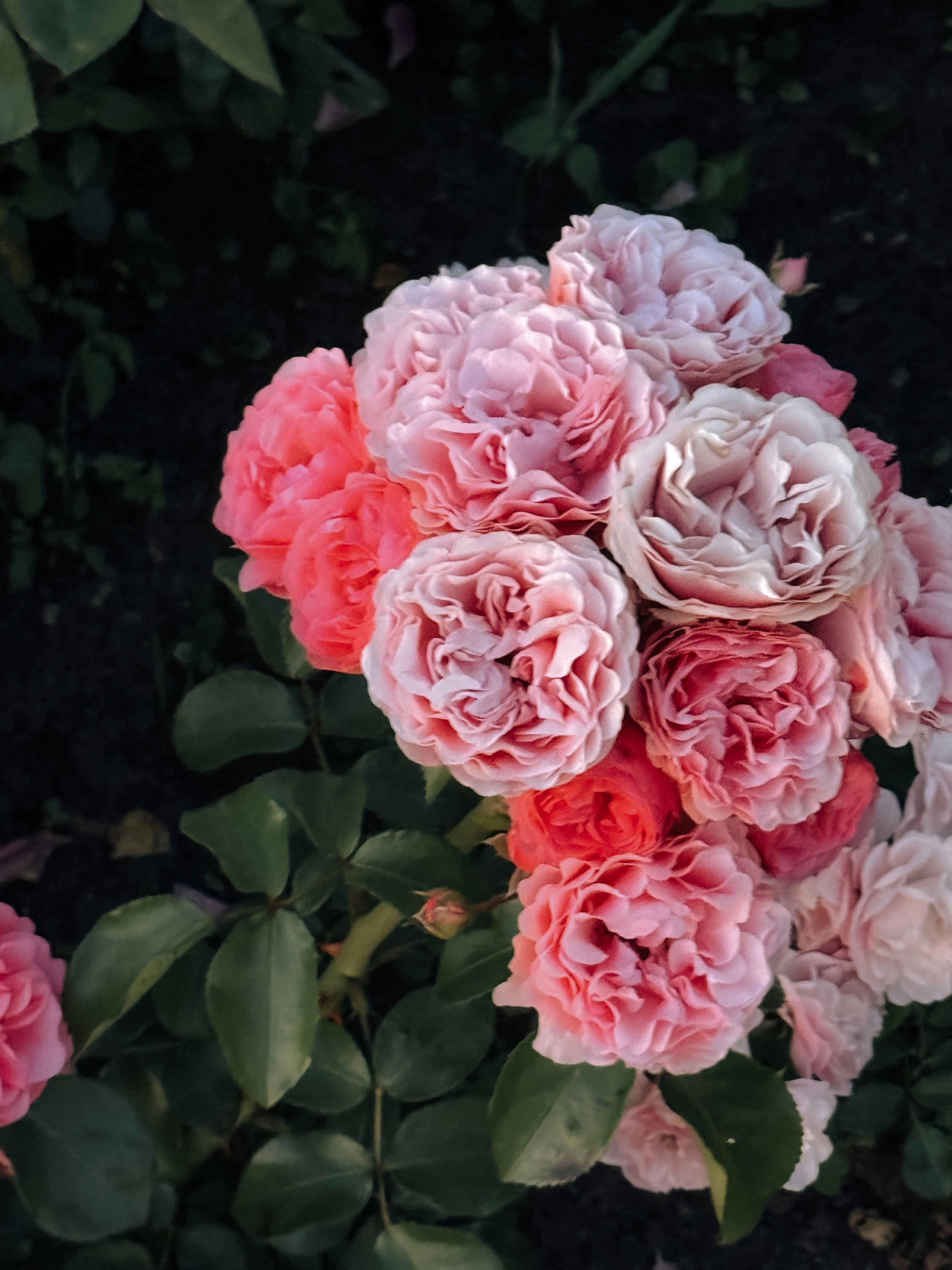 Photo by zvada_photo