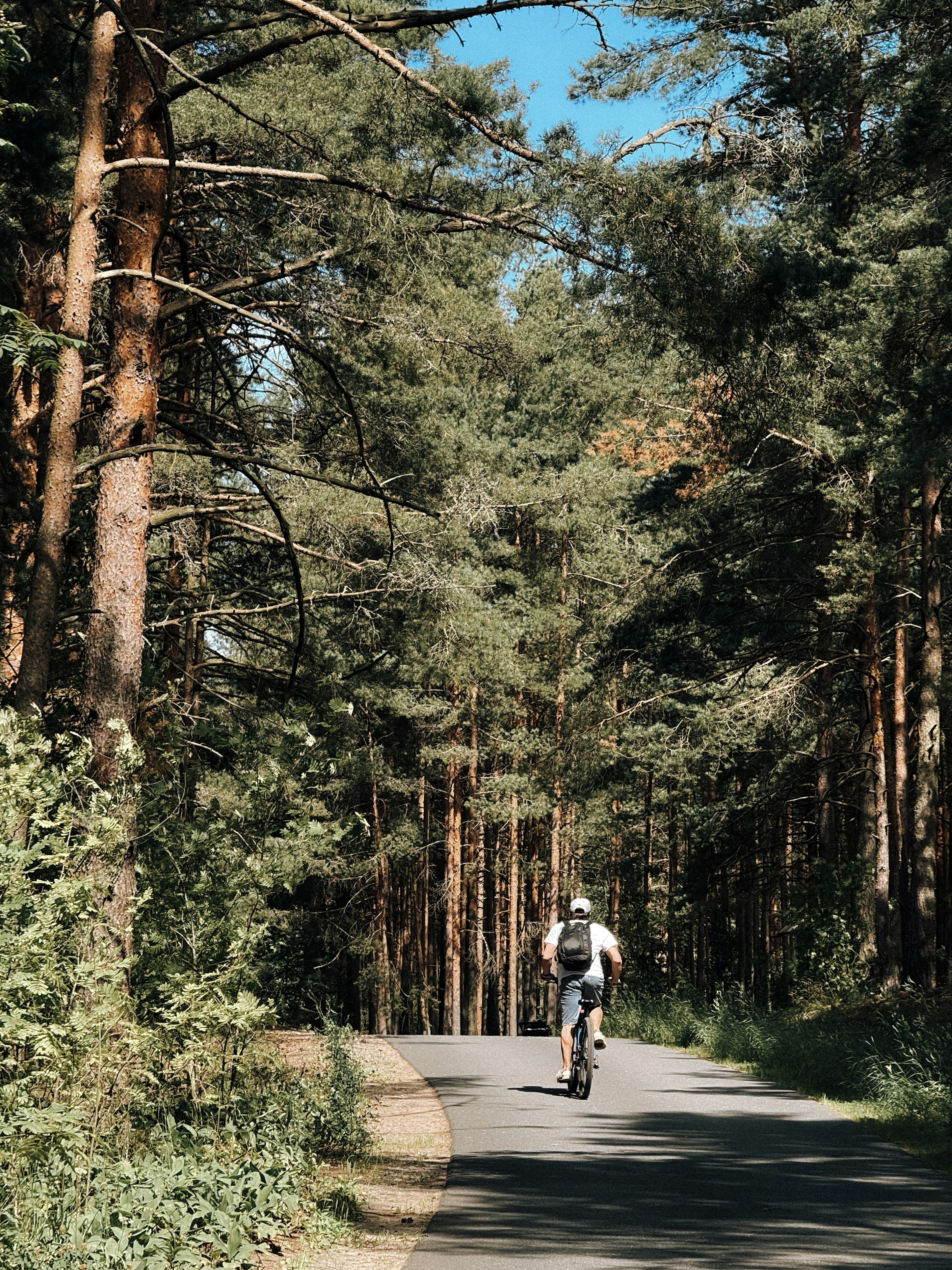 Photo by zvada_photo