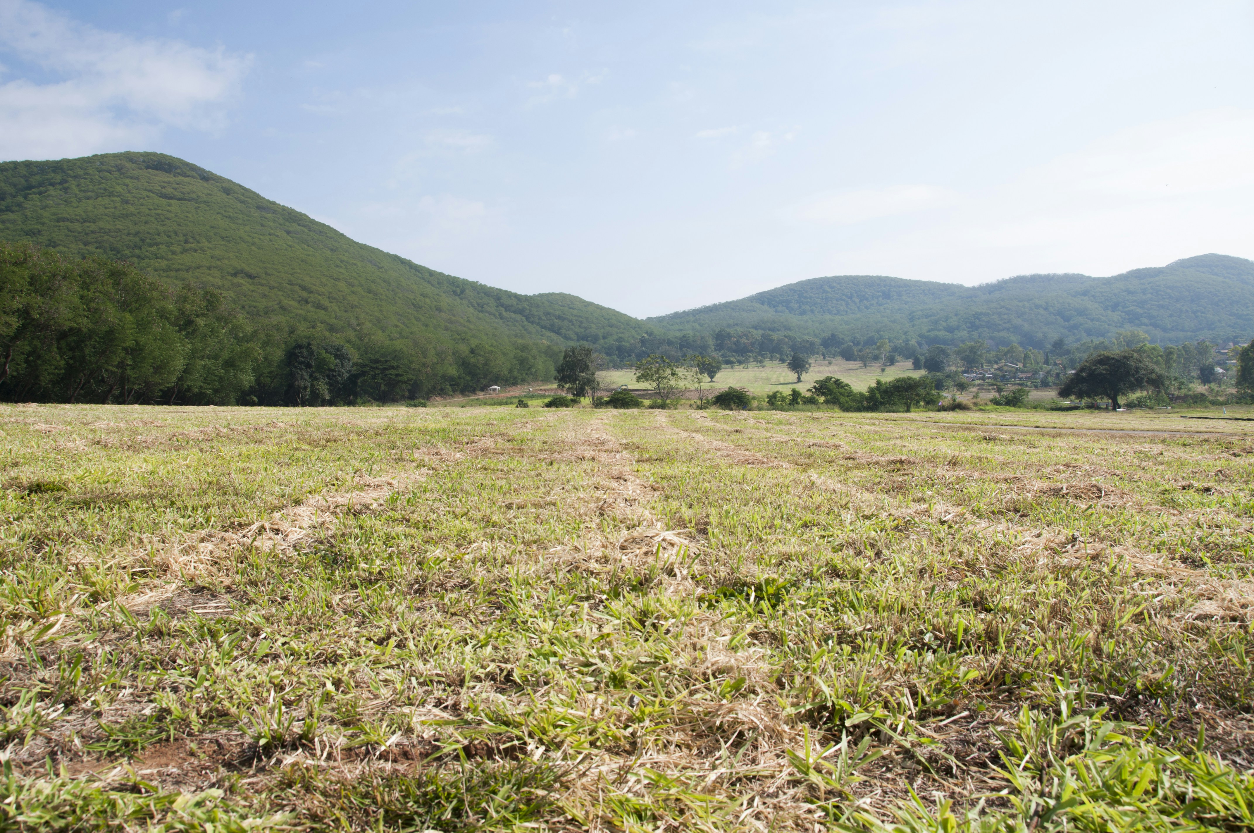 Rolling green hills and a harvested field under blue sky.
