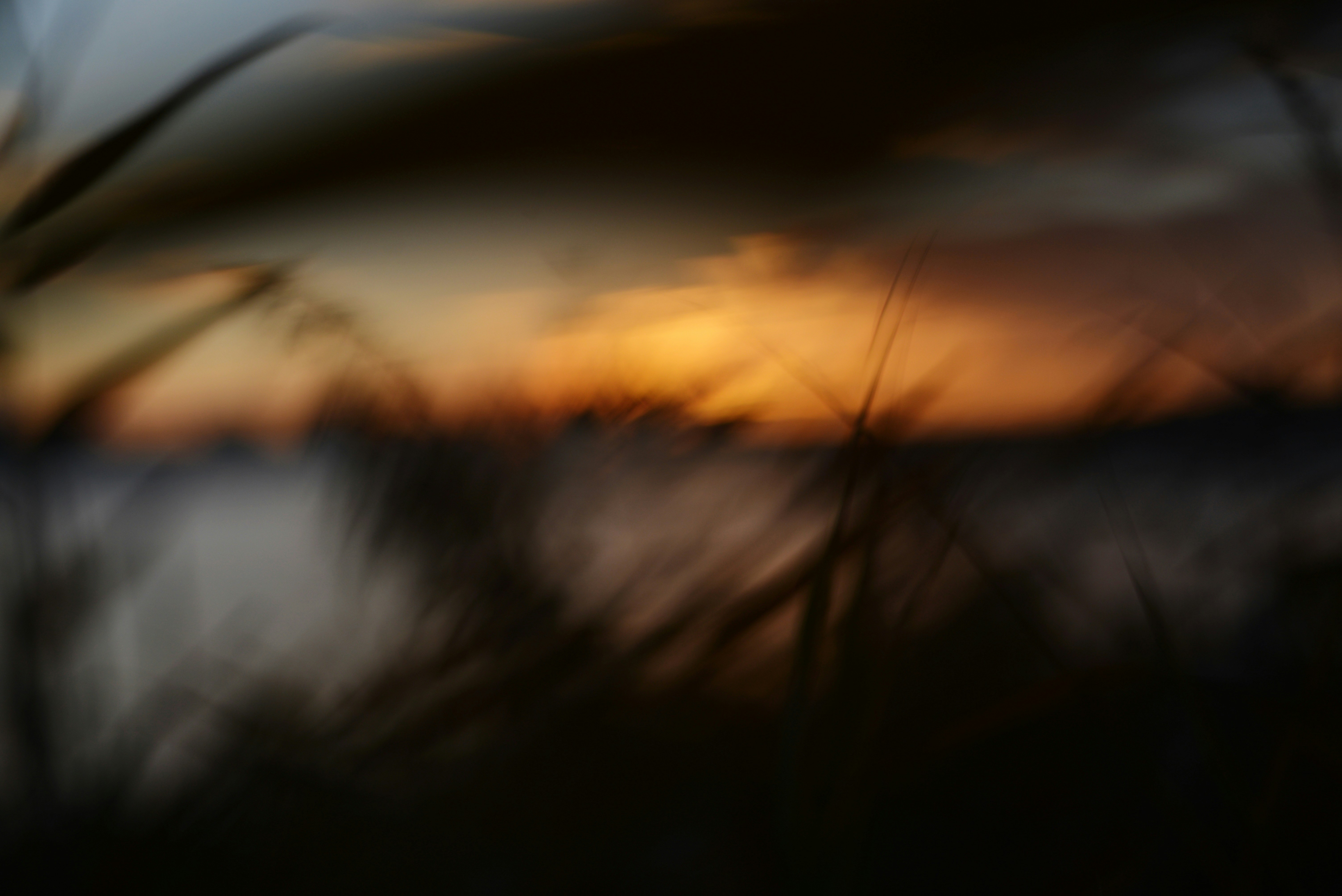 Photo by cherstve_pechivo