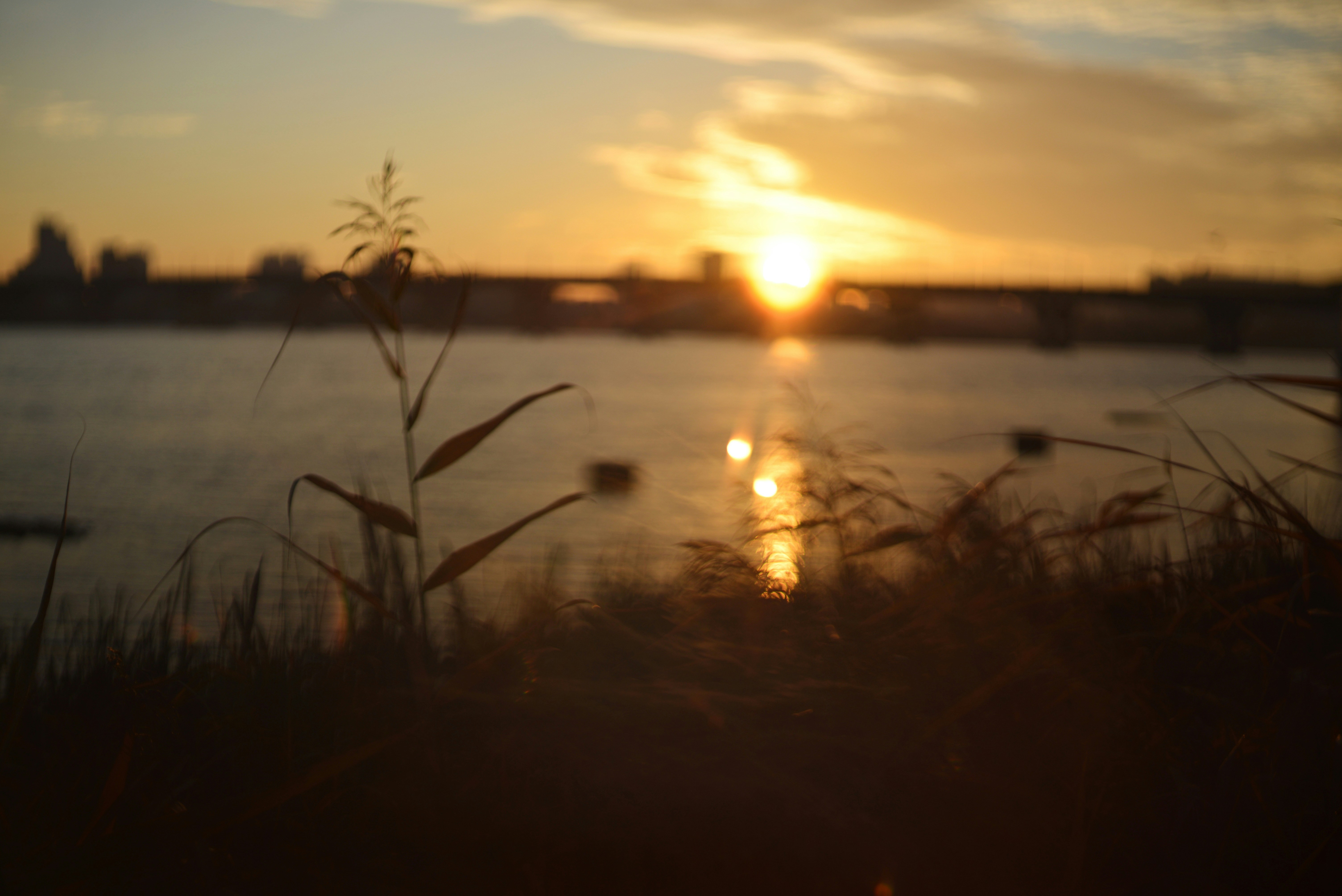 Photo by cherstve_pechivo