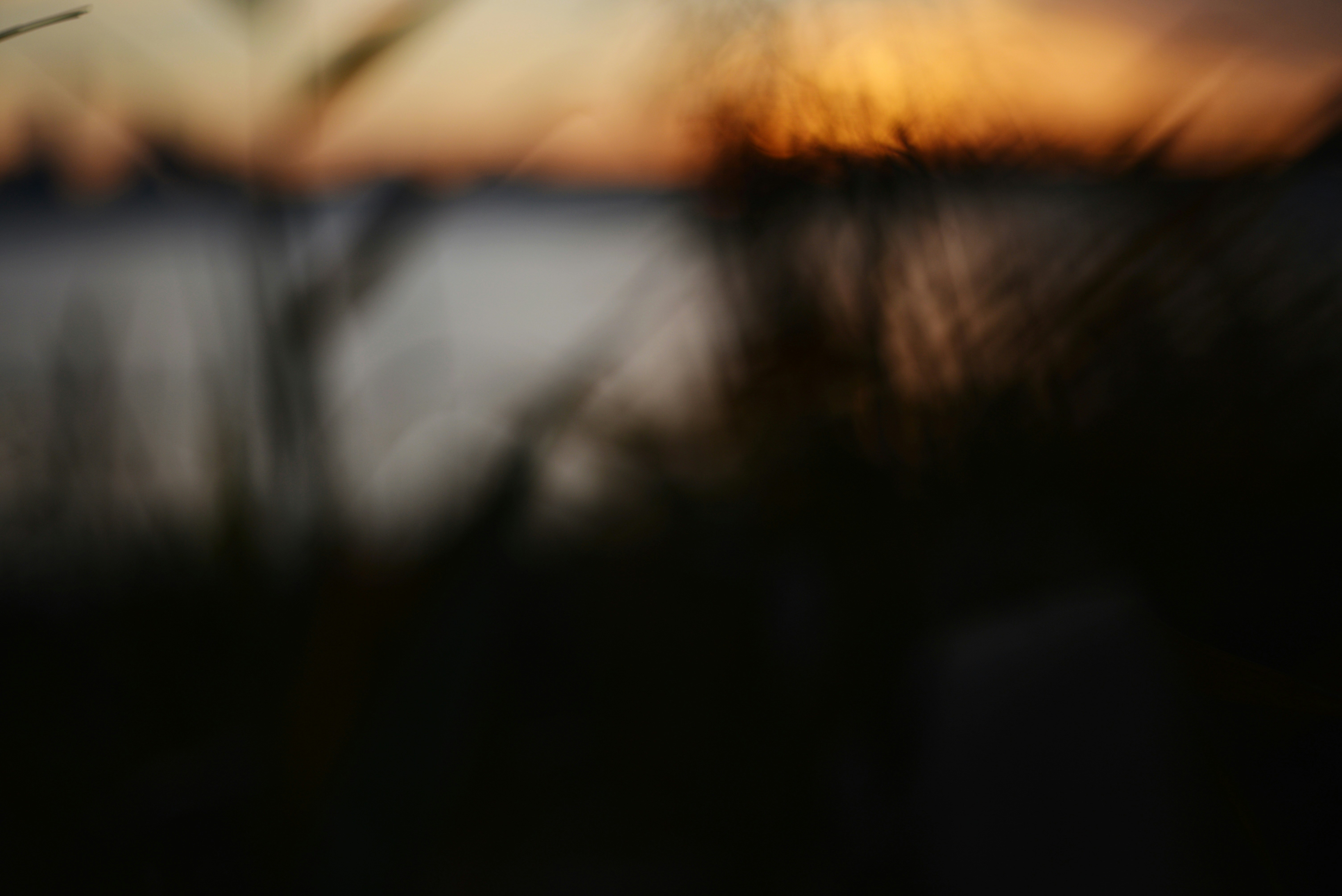 Photo by cherstve_pechivo