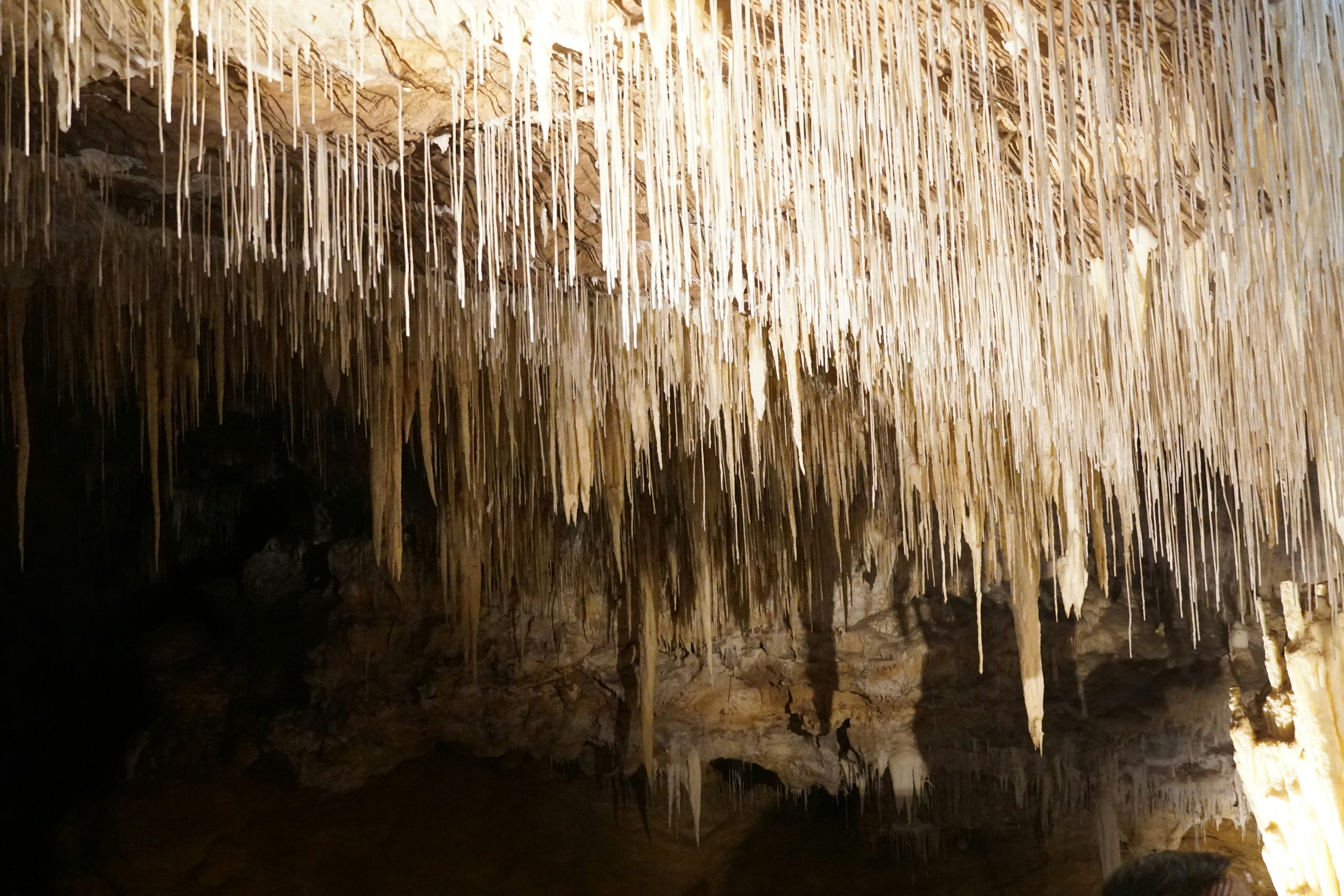 Photo by qld_traveller