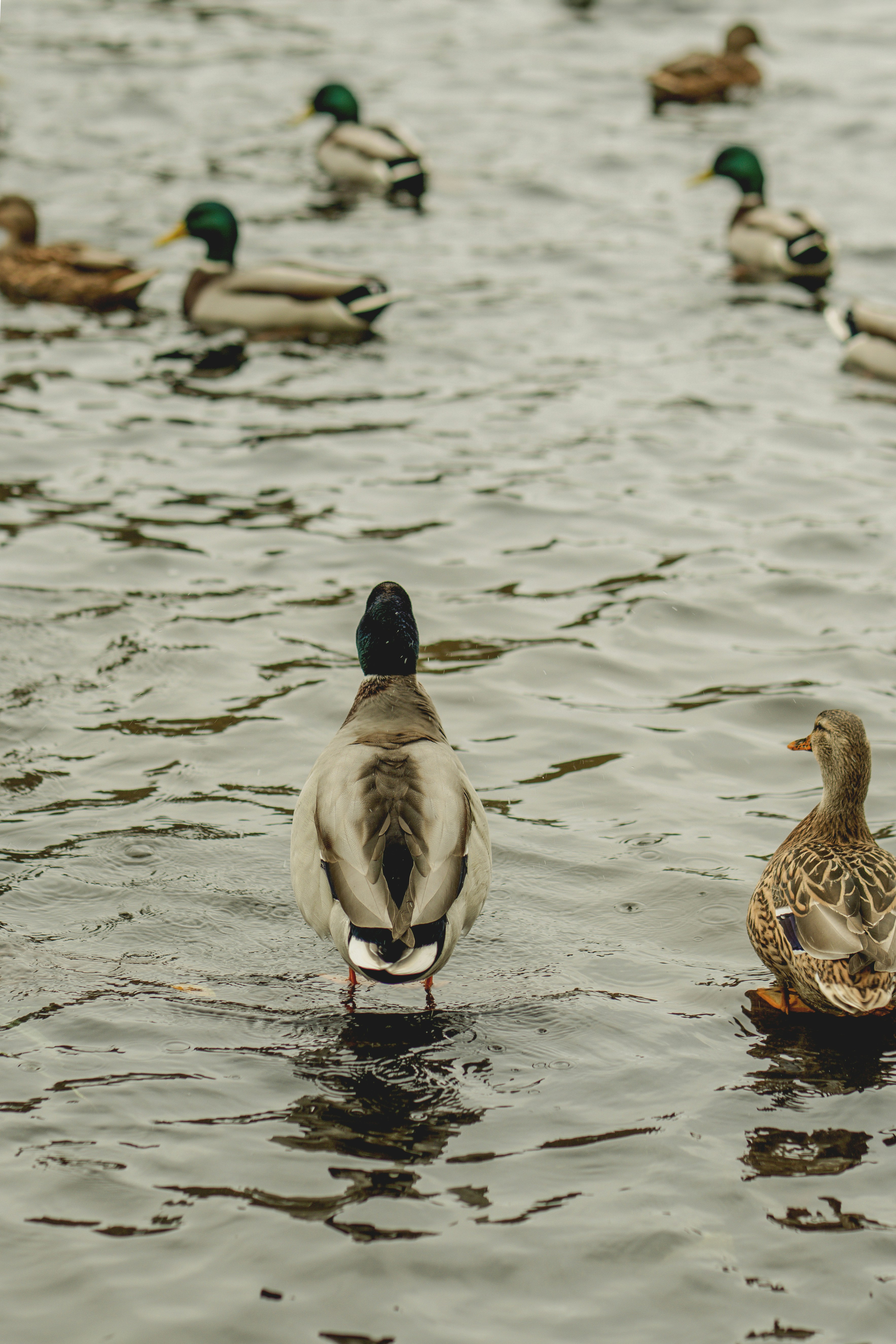 Photo by eugenivy_now