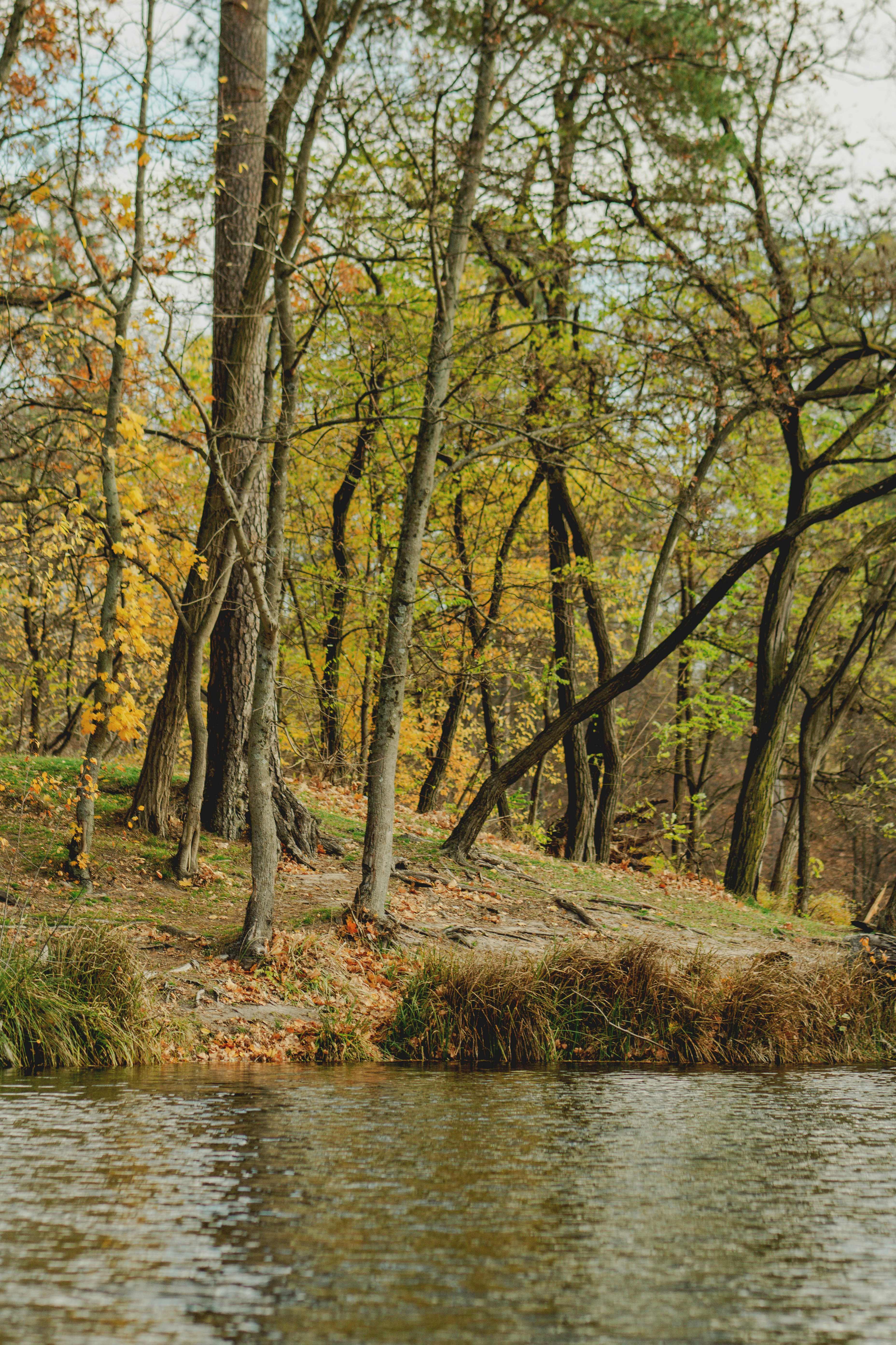 Photo by eugenivy_now