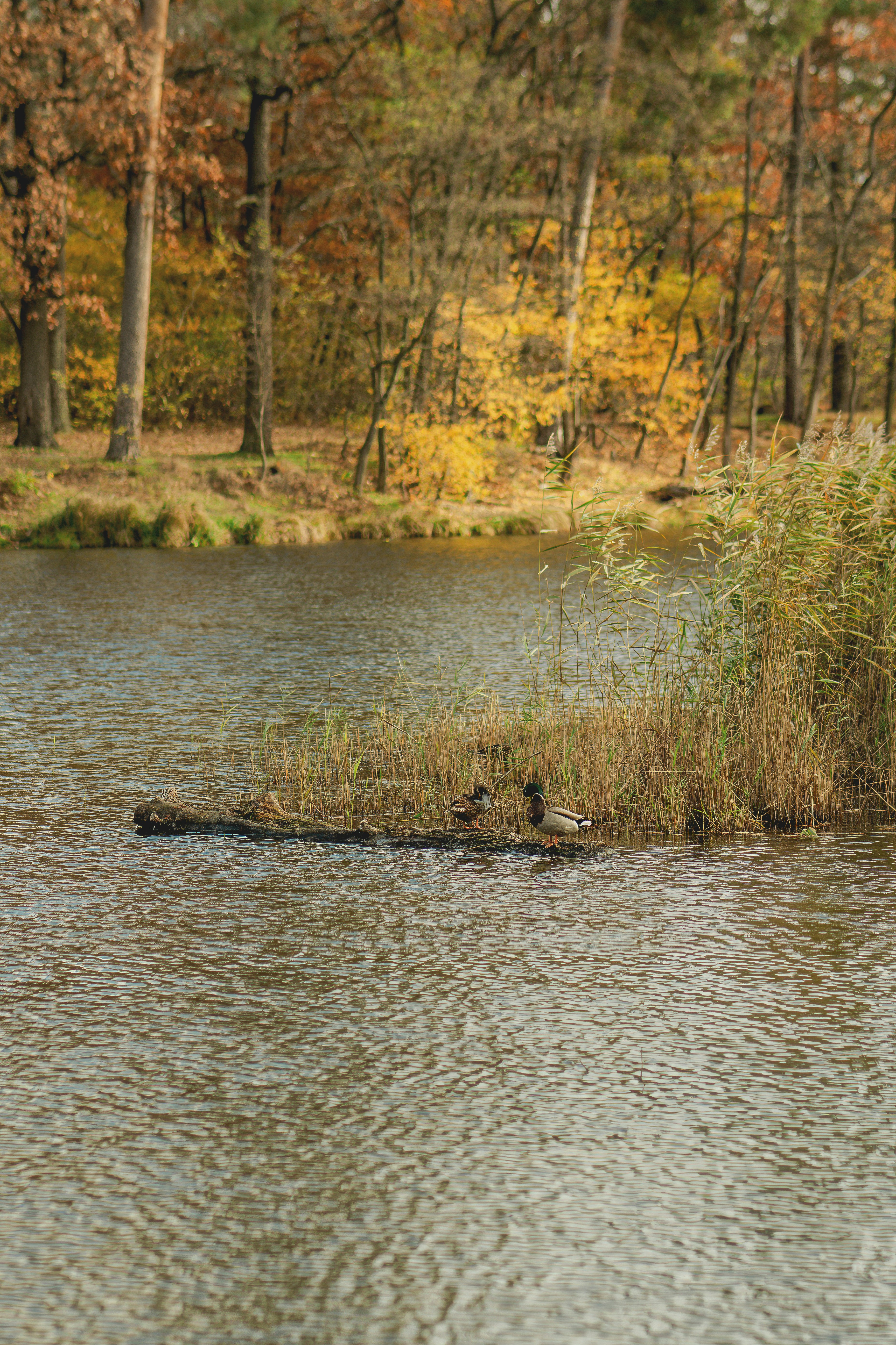 Photo by eugenivy_now