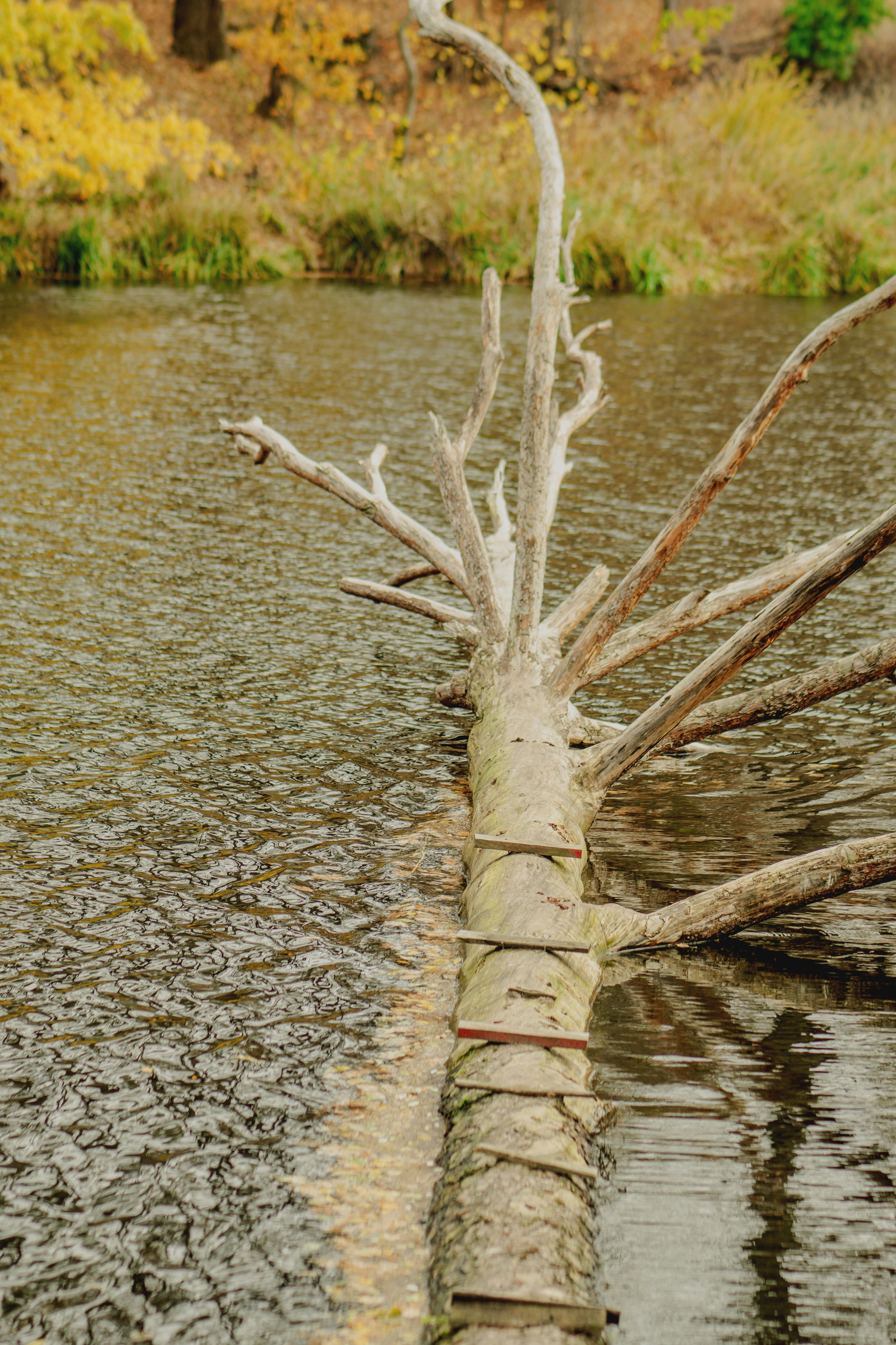 Photo by eugenivy_now