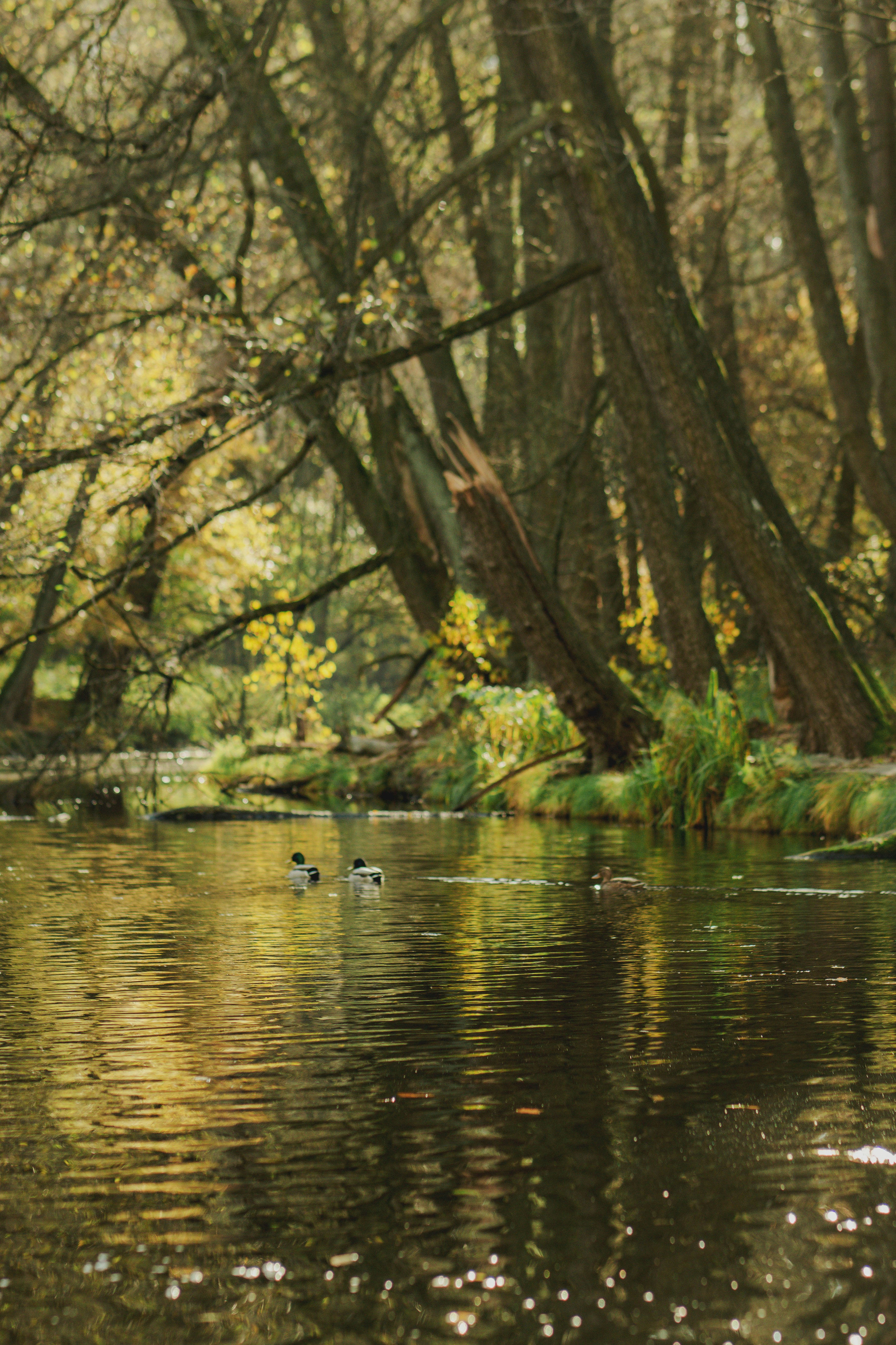 Photo by eugenivy_now