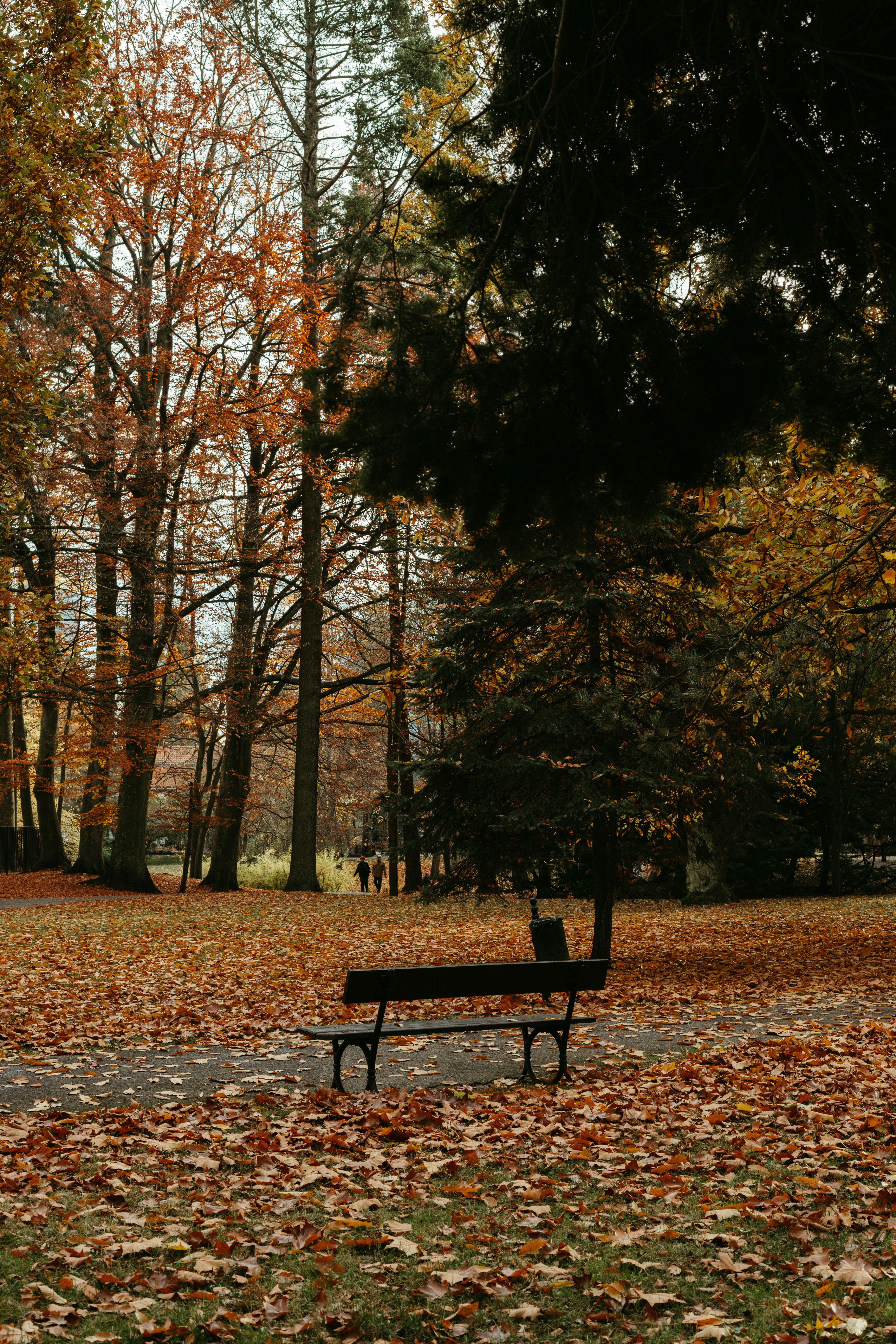 Photo by p_kuzovkova