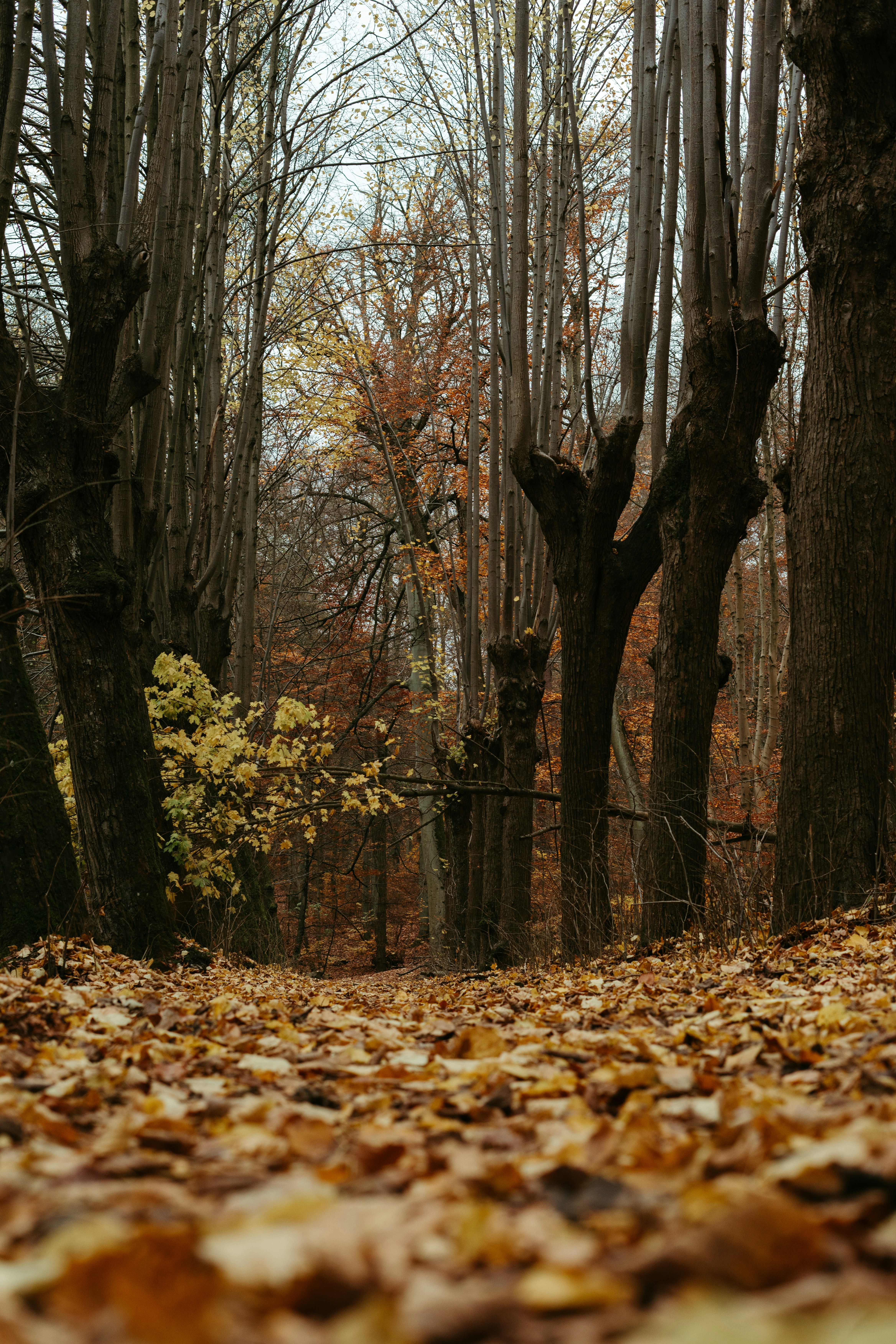 Photo by p_kuzovkova