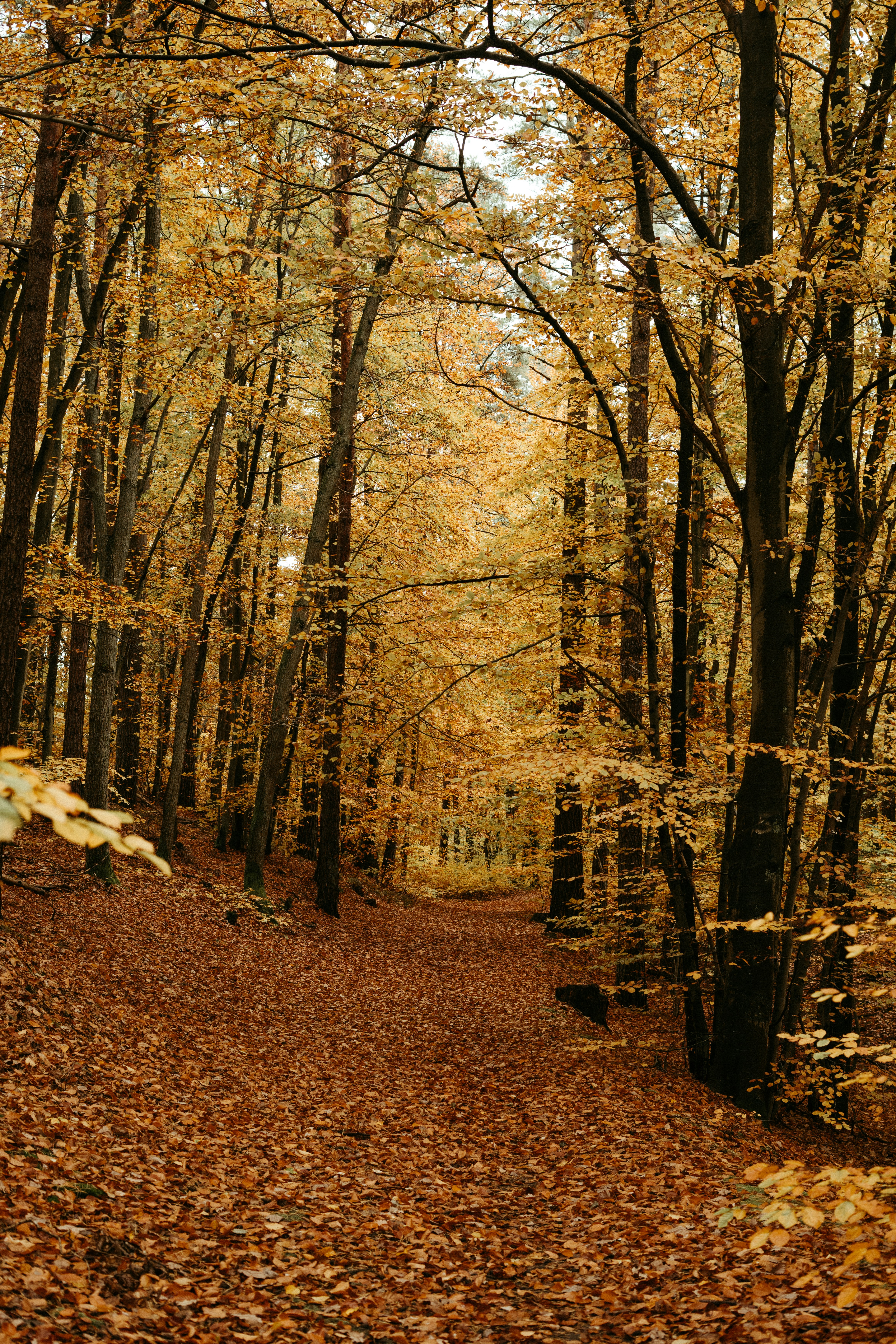 Photo by p_kuzovkova