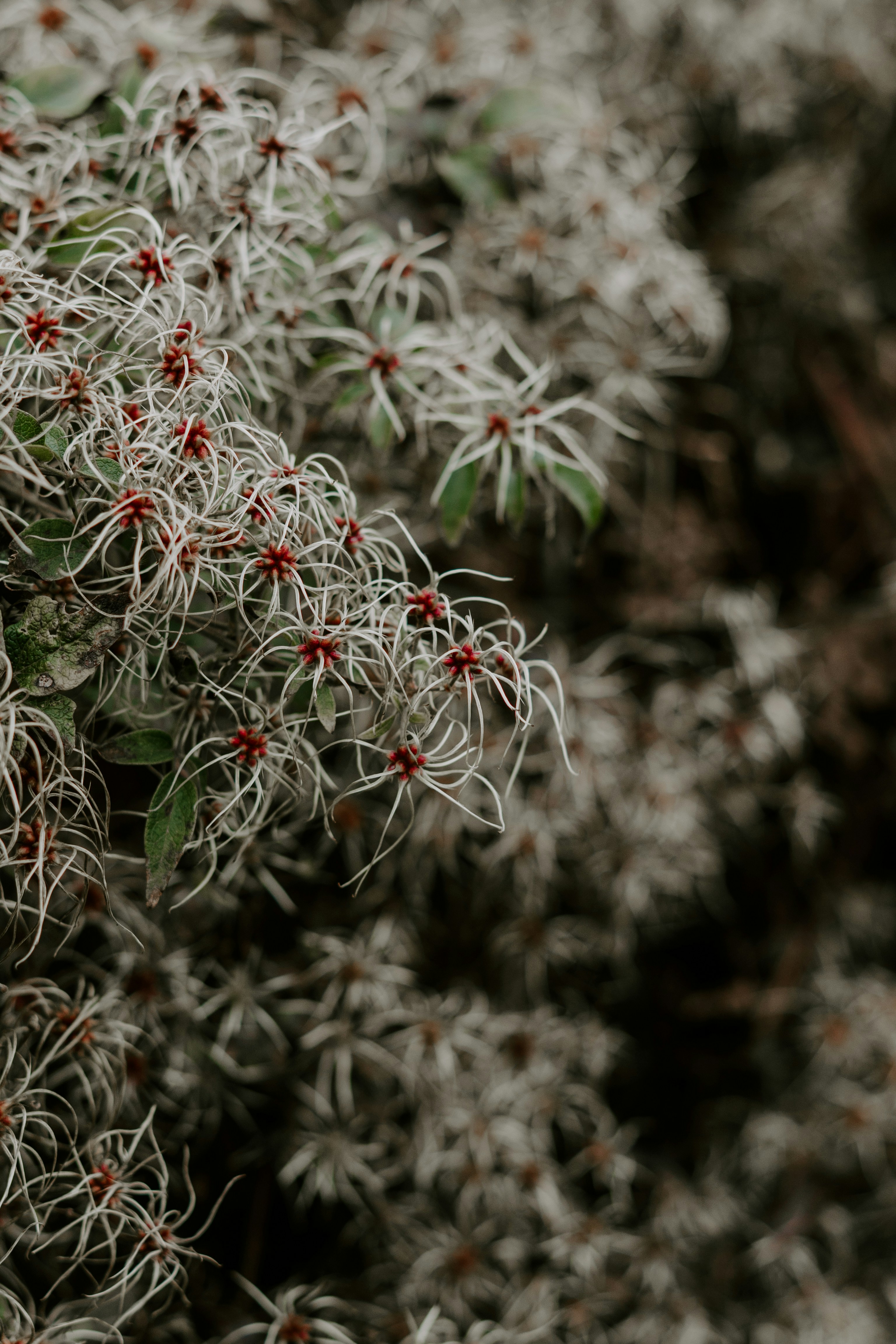 Photo by p_kuzovkova