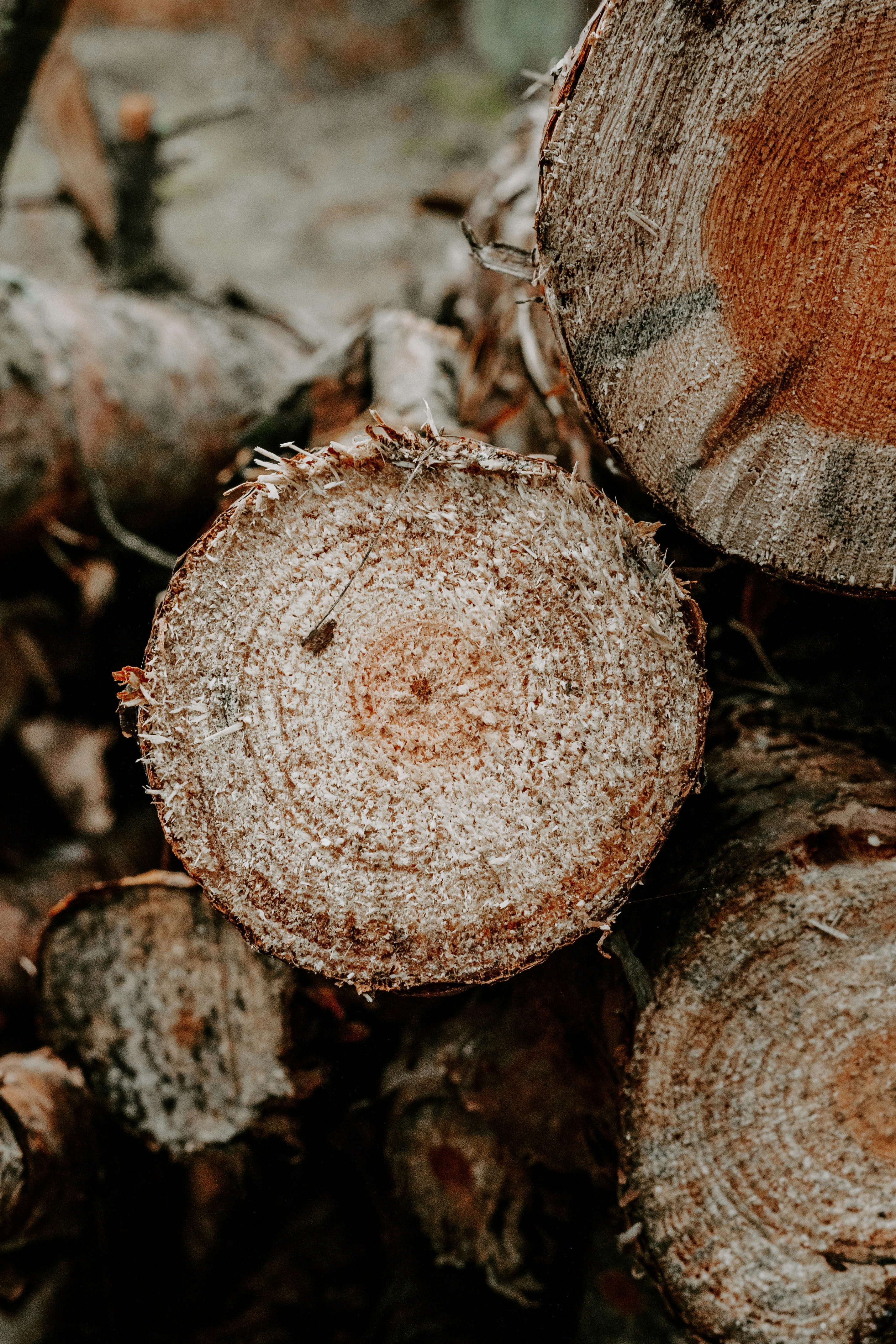 Photo by p_kuzovkova