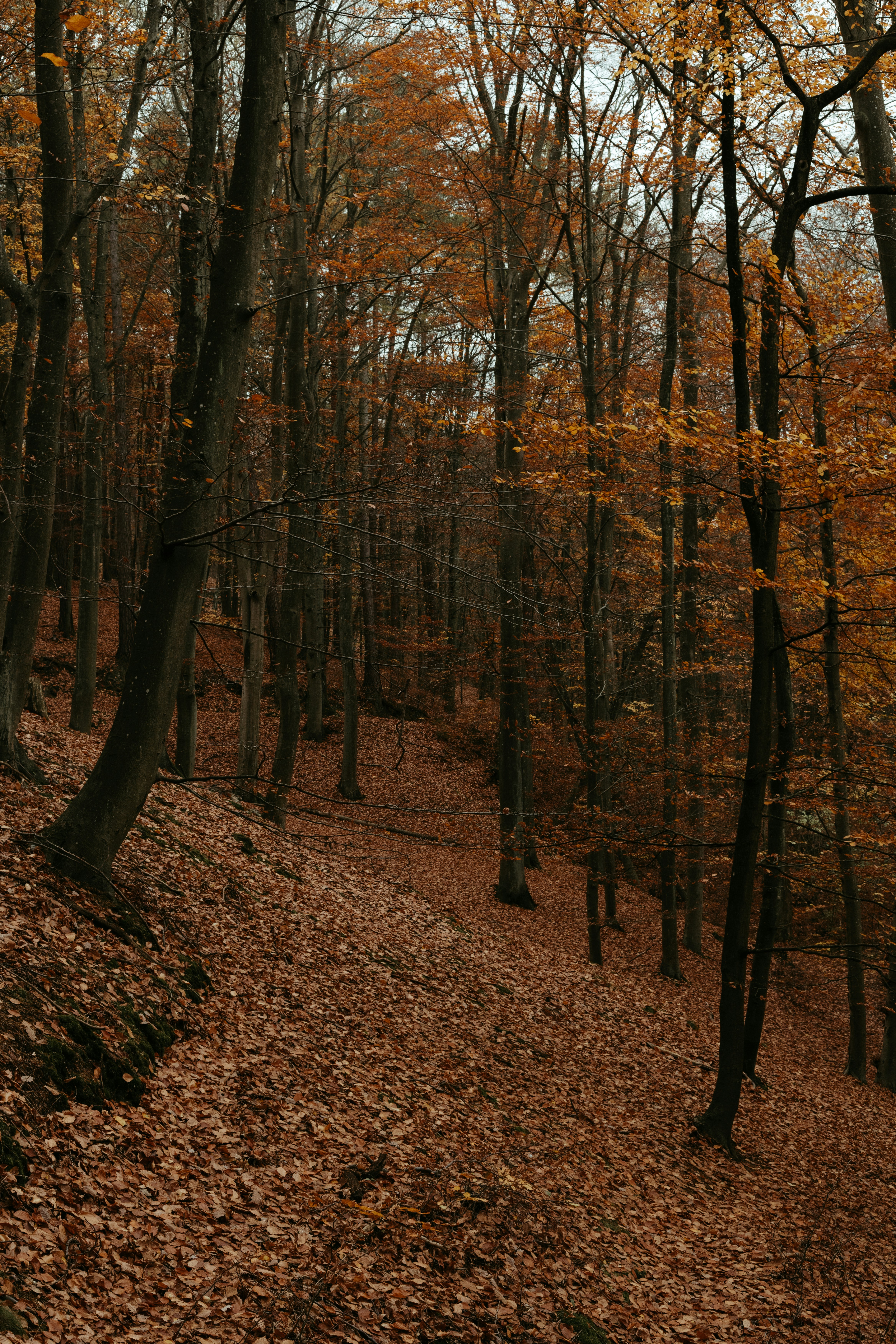 Photo by p_kuzovkova