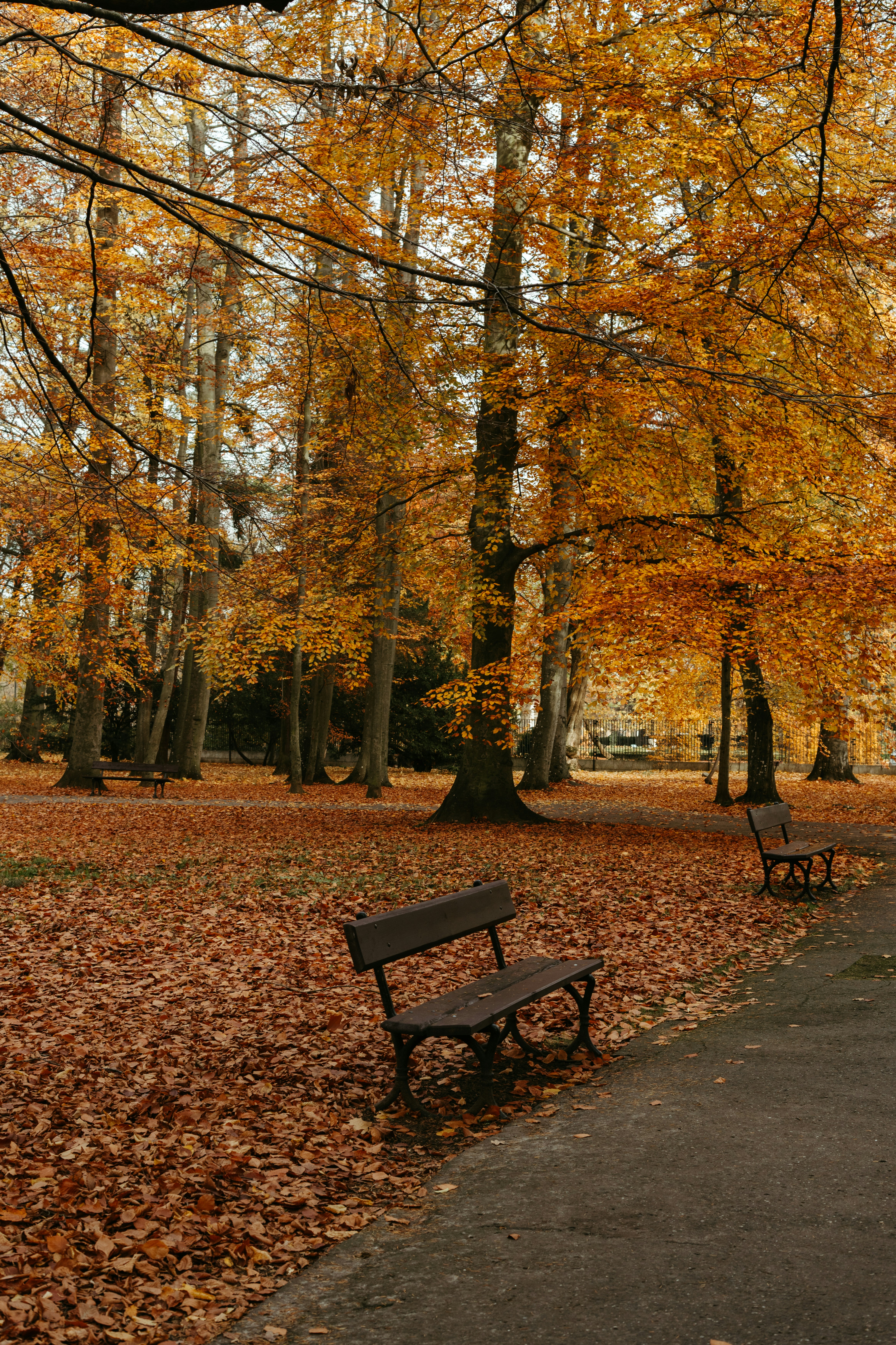 Photo by p_kuzovkova