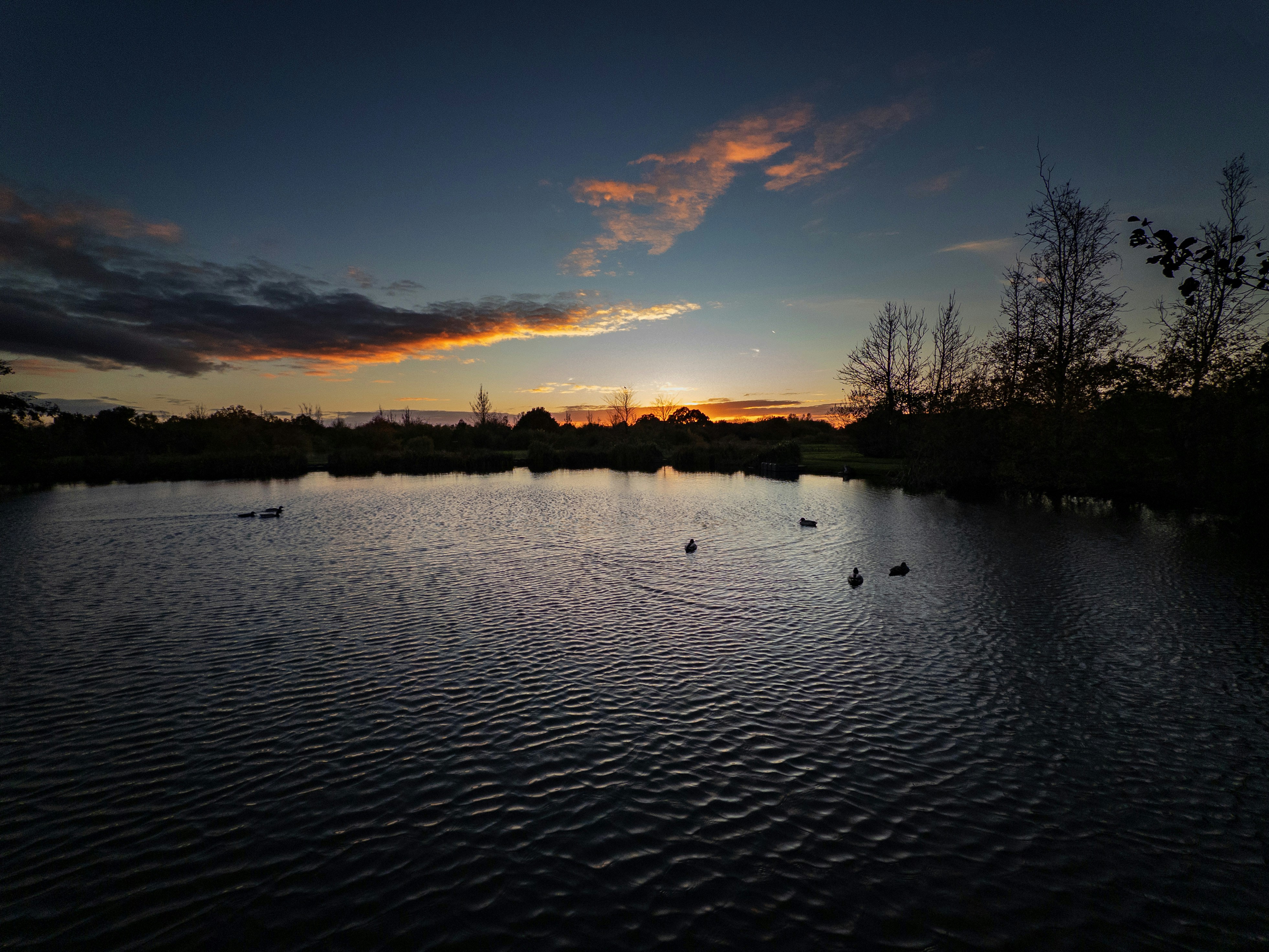 Photo by brett_jordan