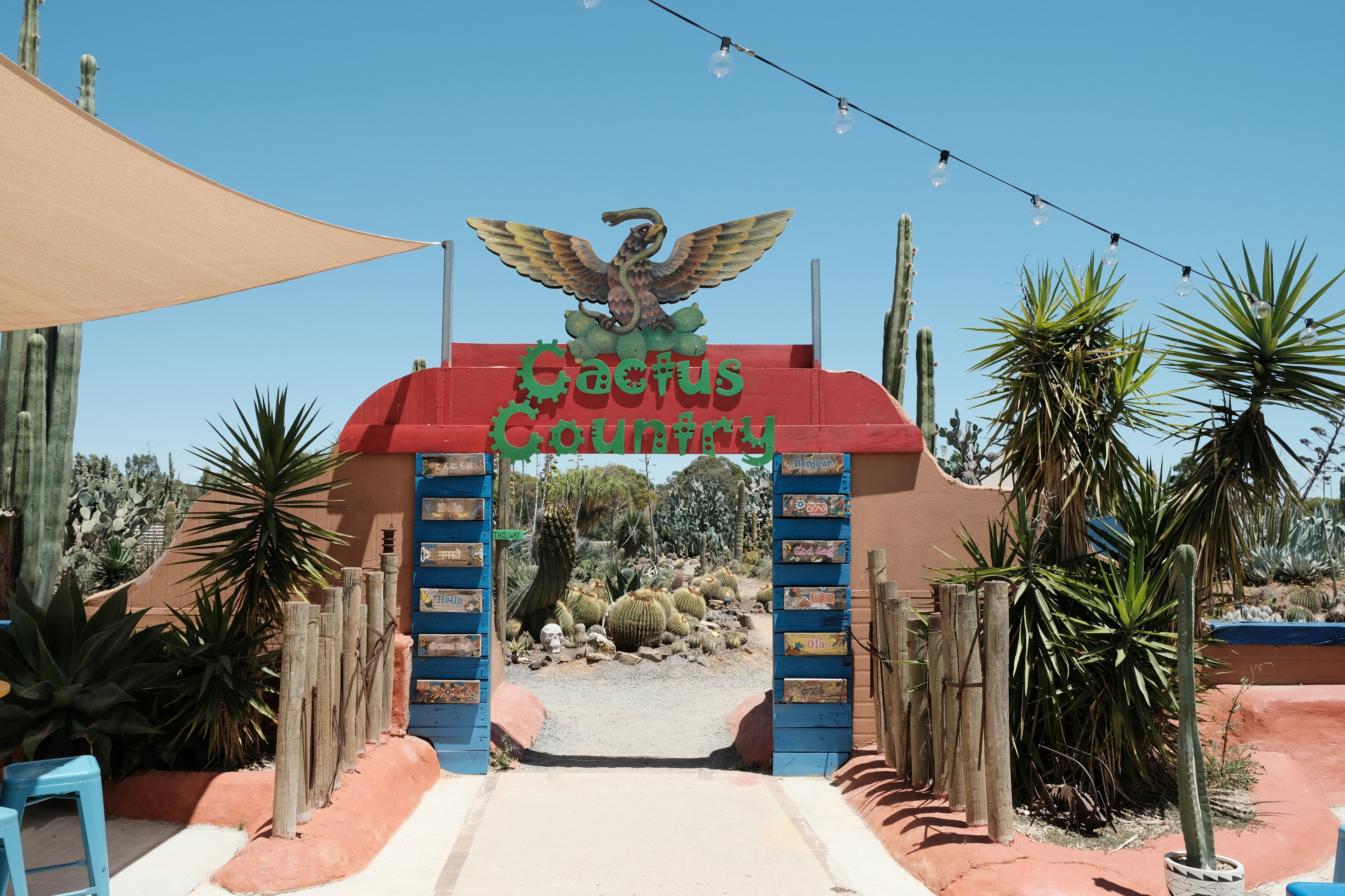 Entrance to the cactus corner with desert plants