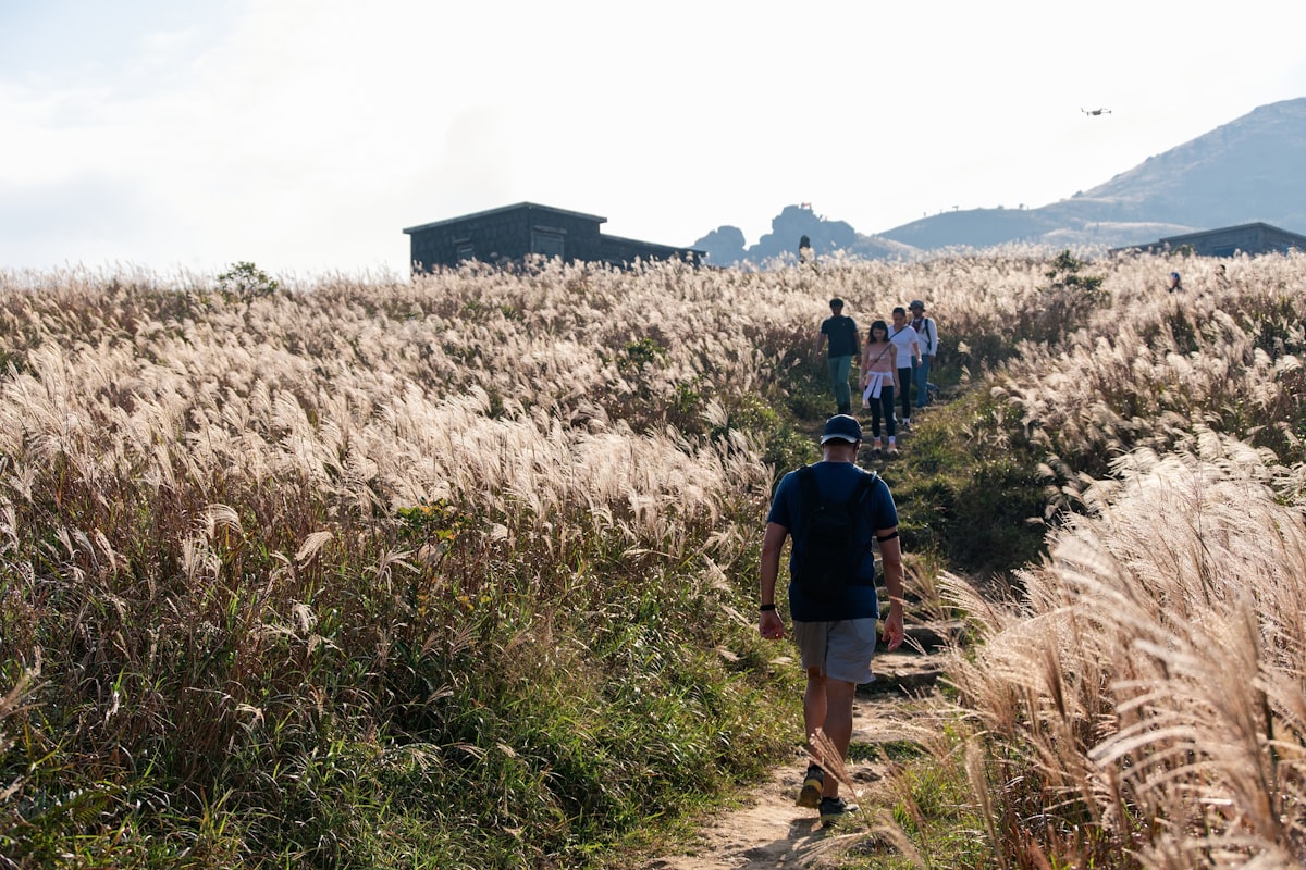 People walking together on a path through tall grass, enjoying authentic social connection in nature