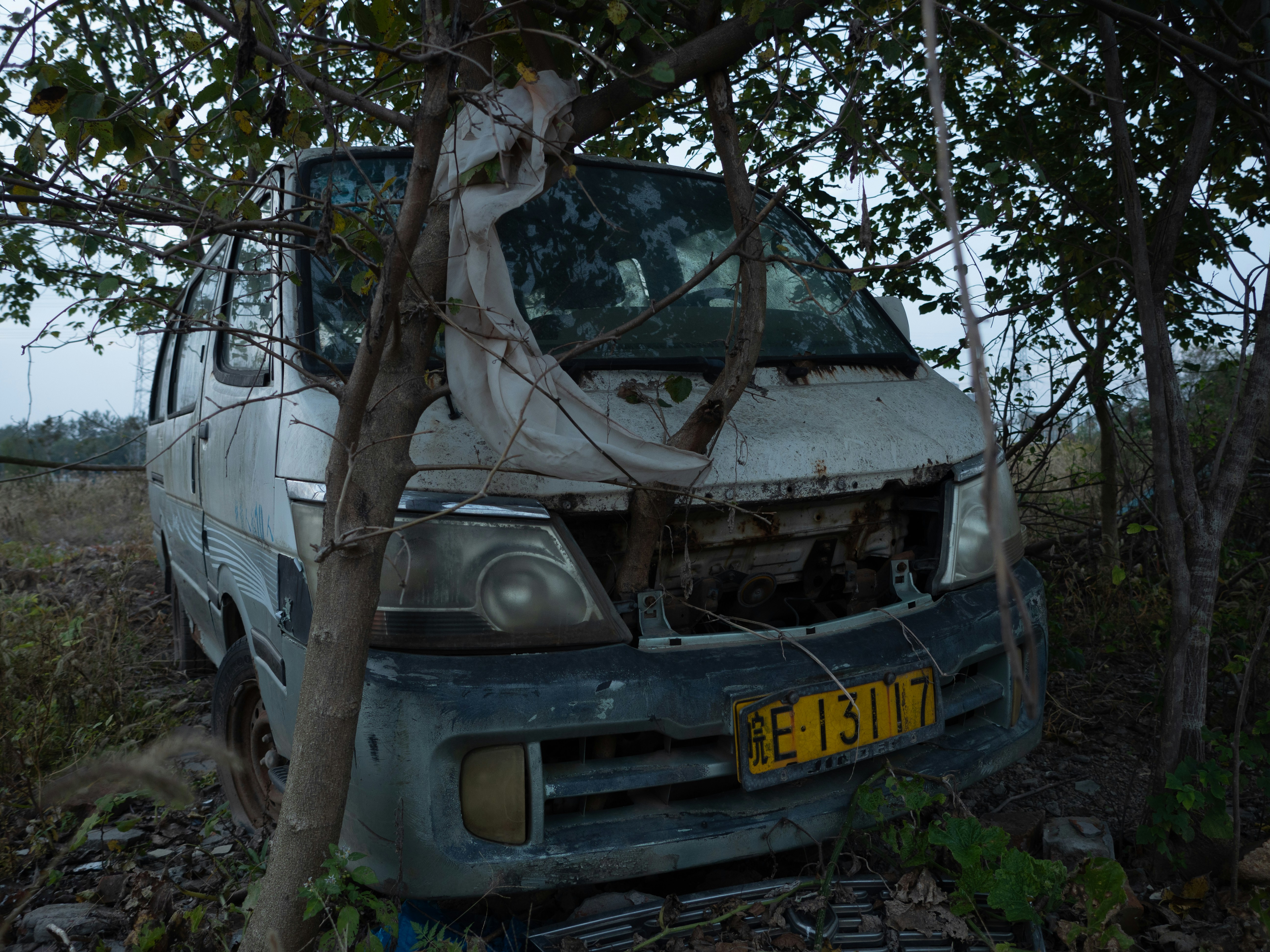 Abandoned van overgrown with trees and vegetation