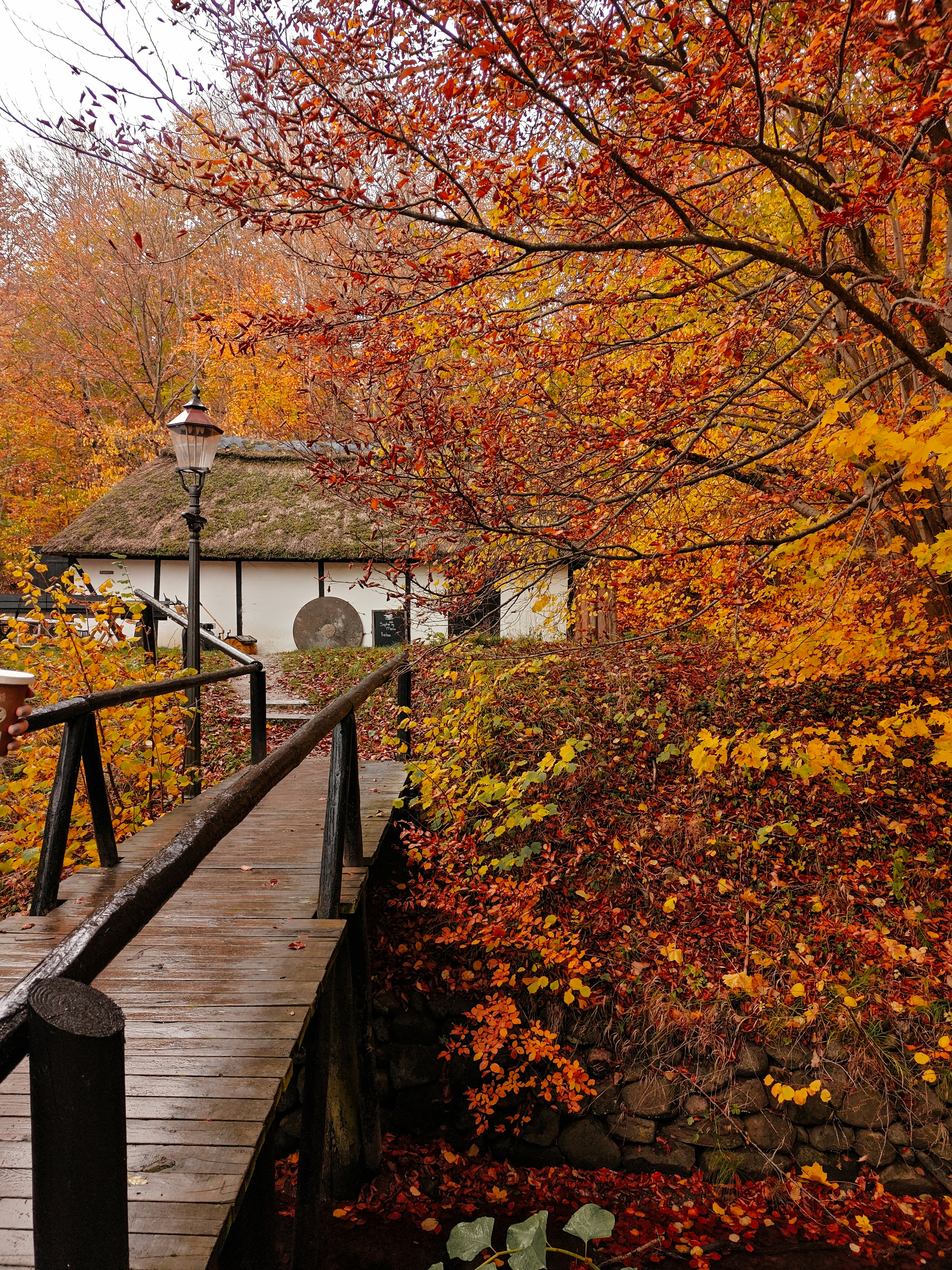 Photo by toft_pilgaard