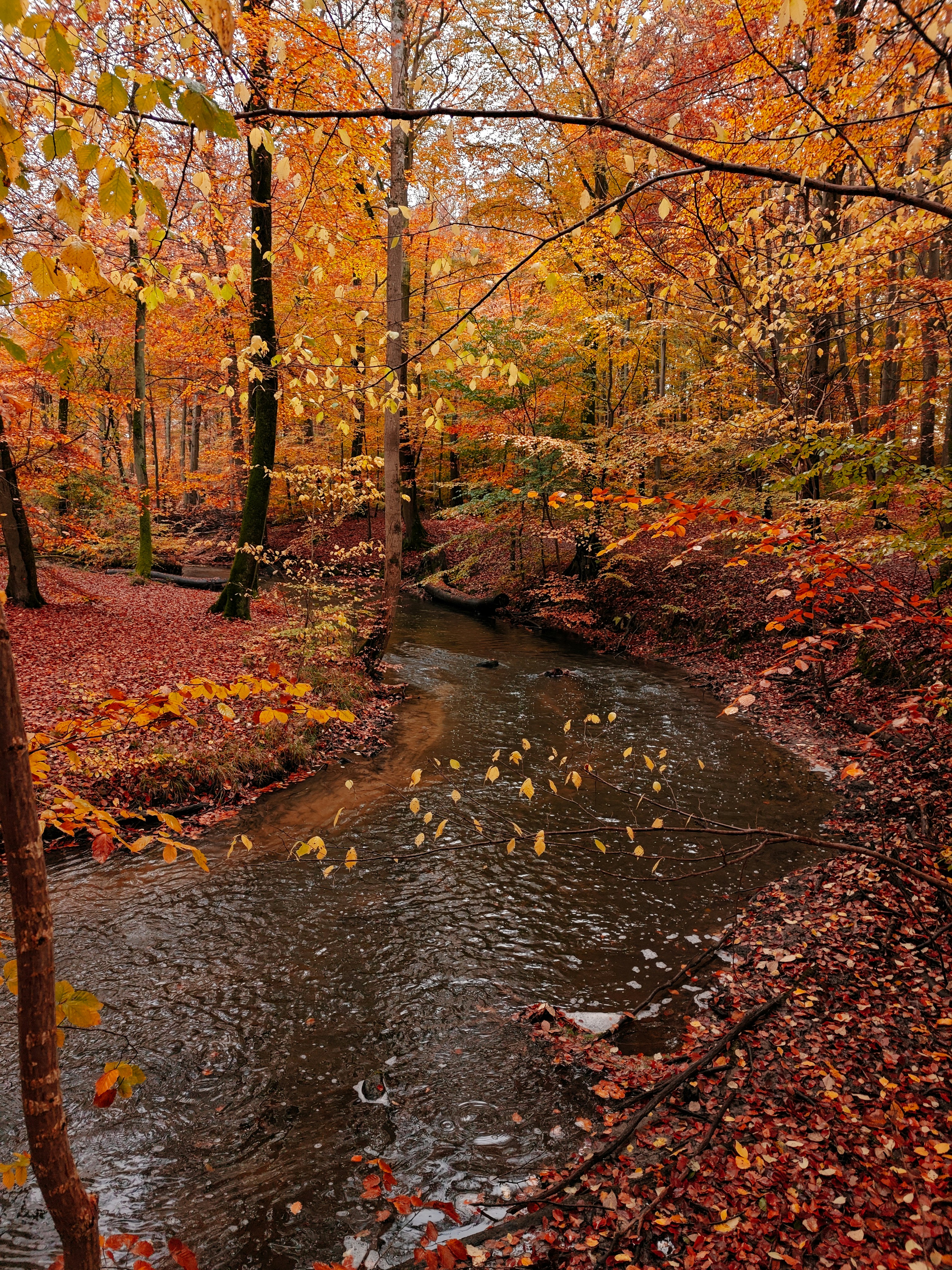 Photo by toft_pilgaard