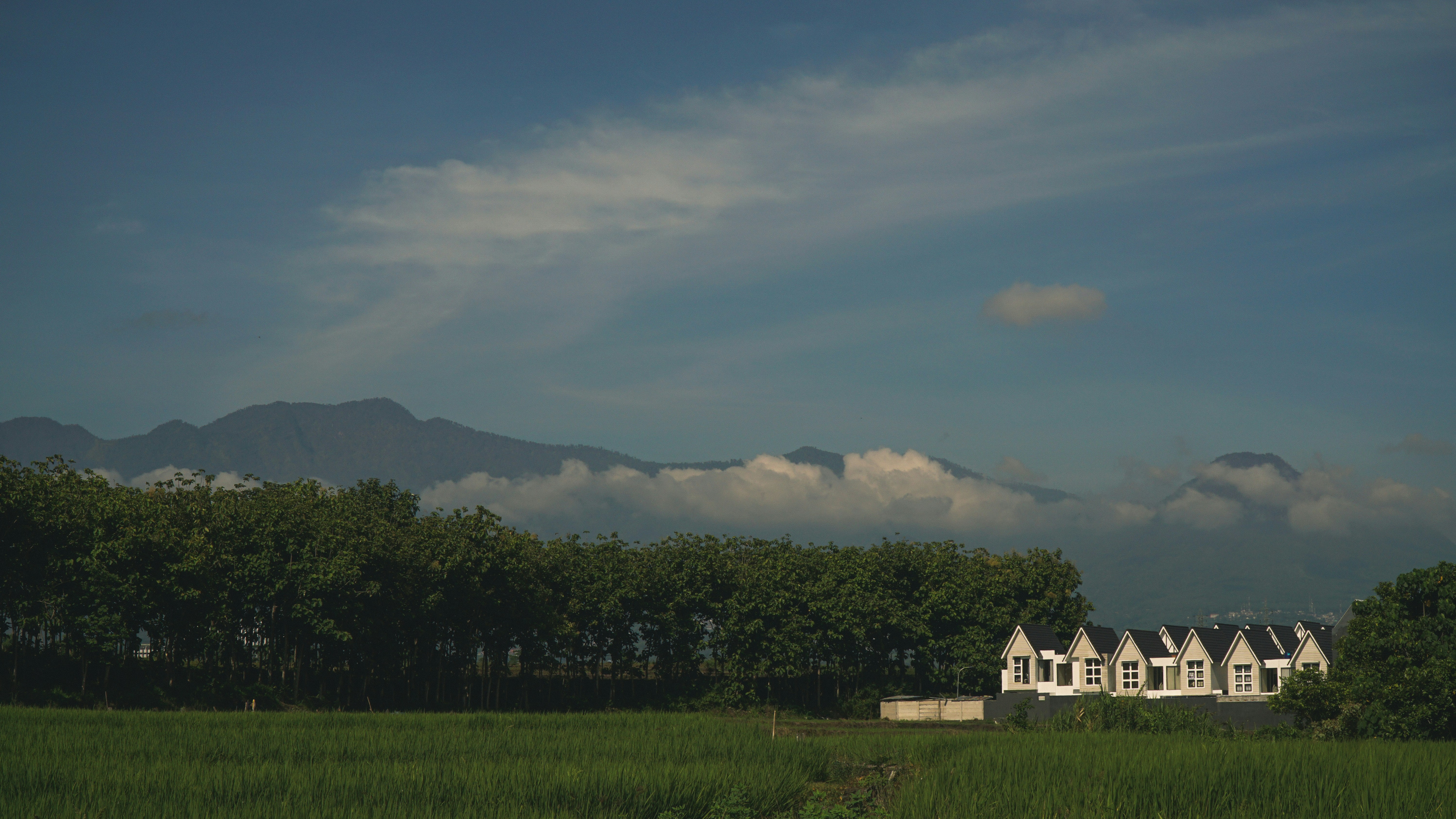 Photo by ngarsipcahaya