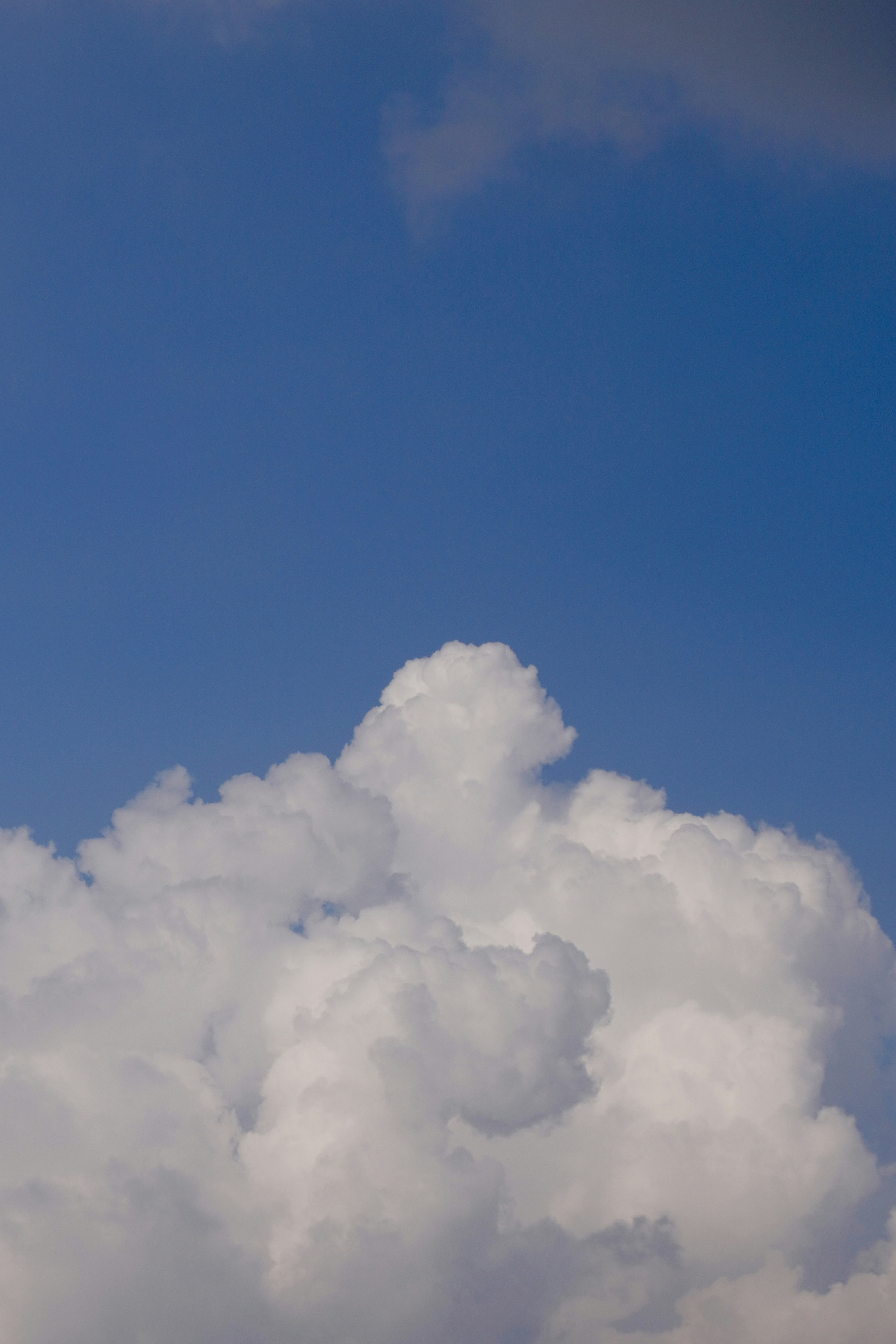 Photo by justjoker44