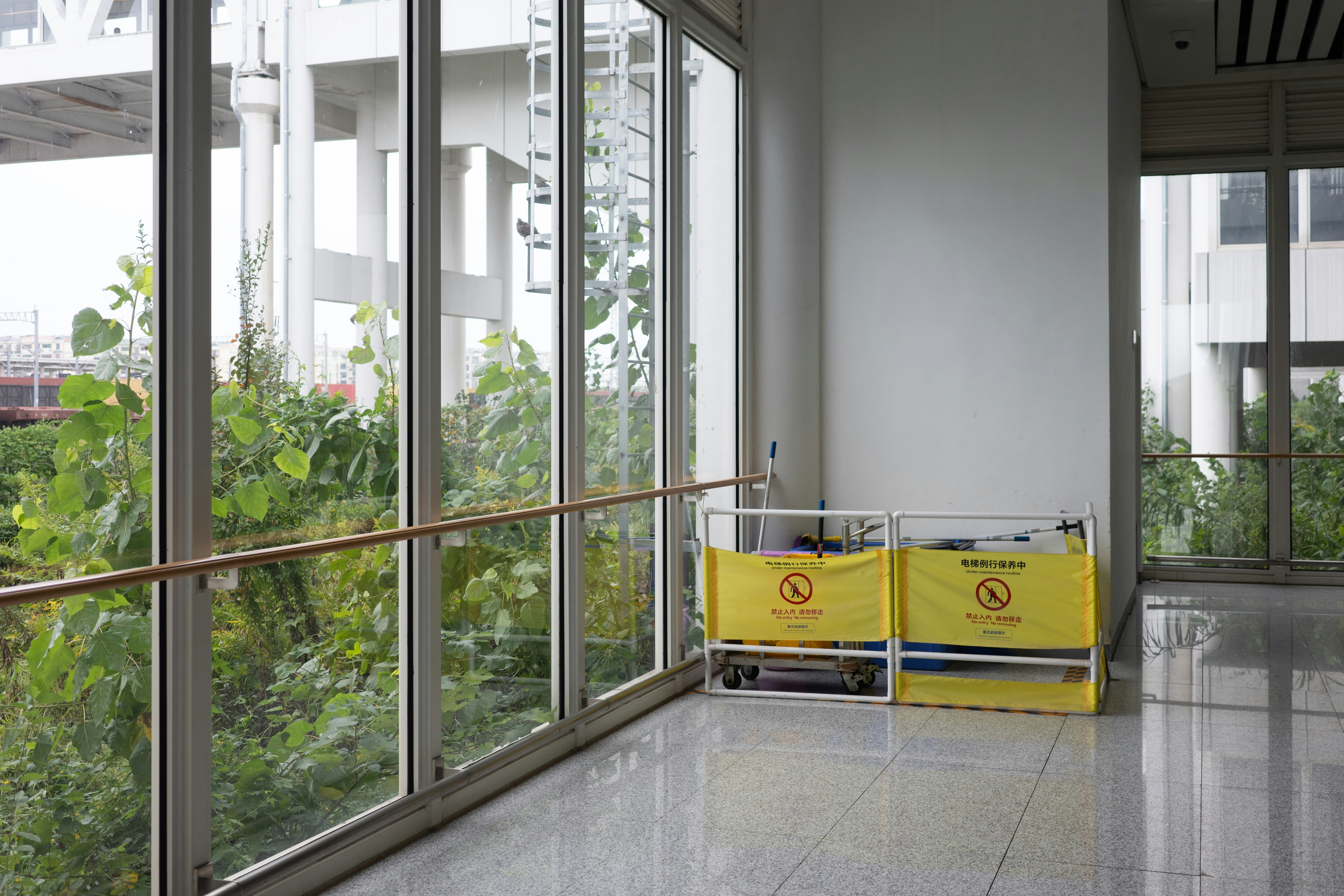 Modern building interior with large windows and greenery