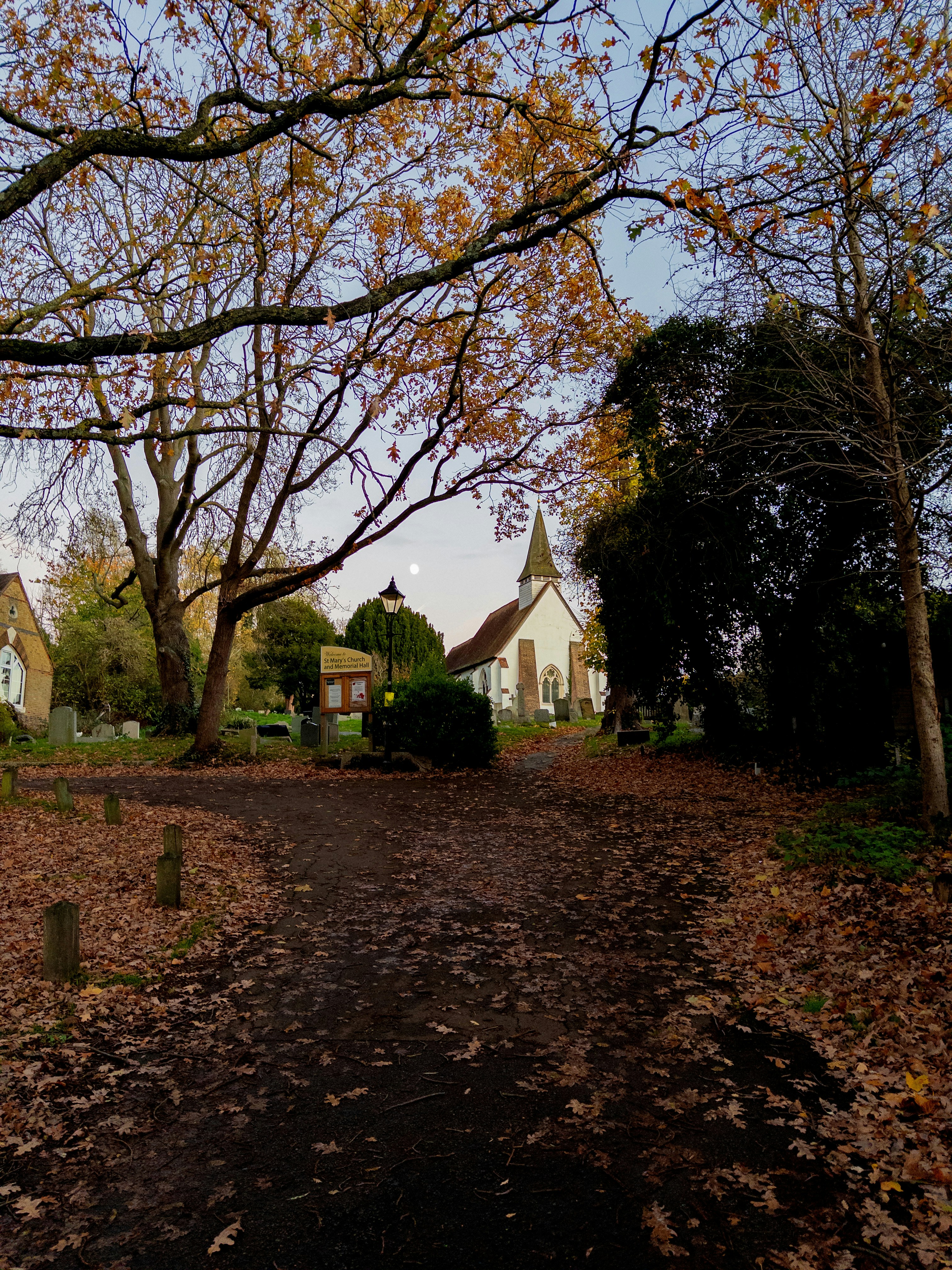 Photo by brett_jordan