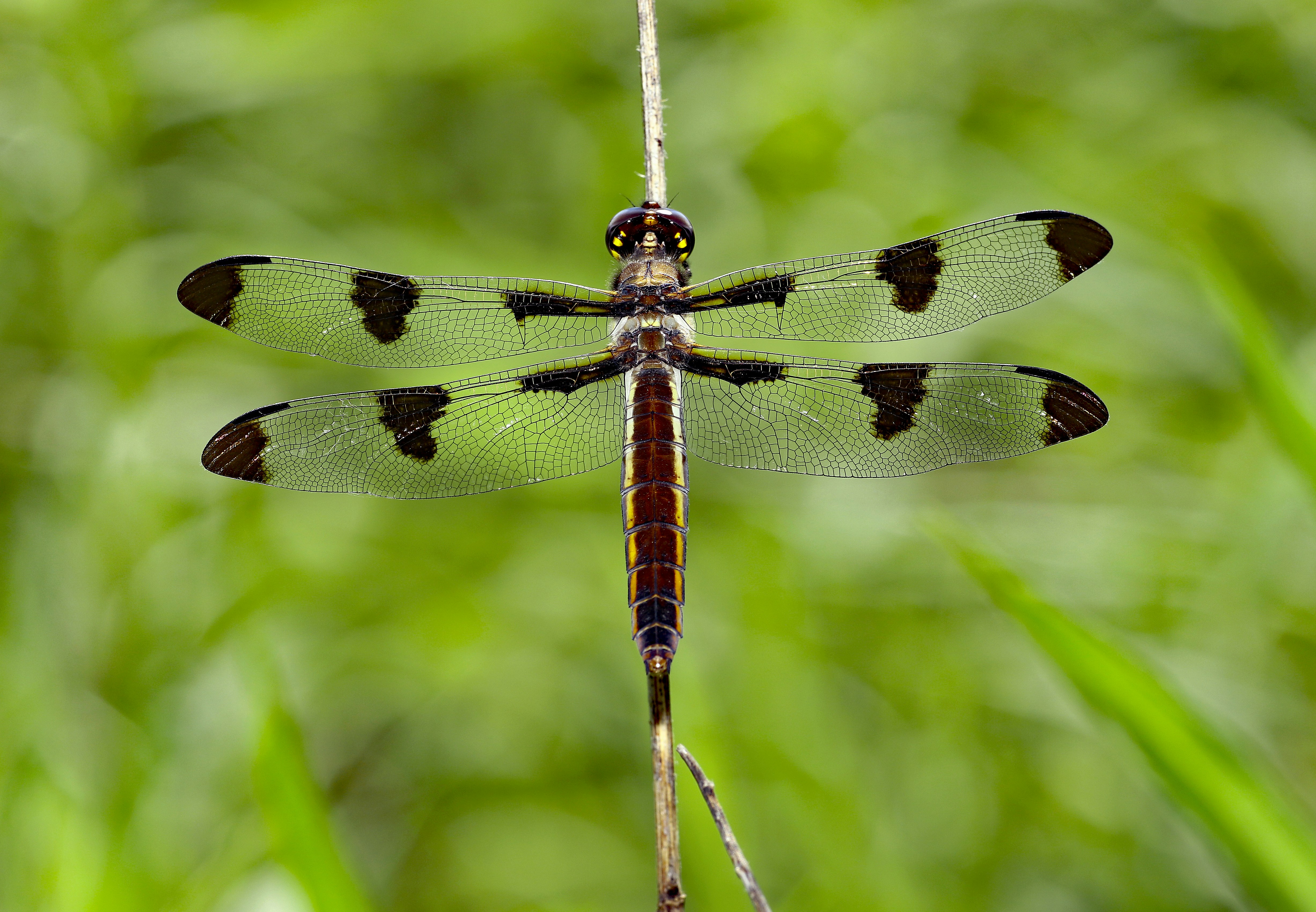 Photo by telliottmbamsc