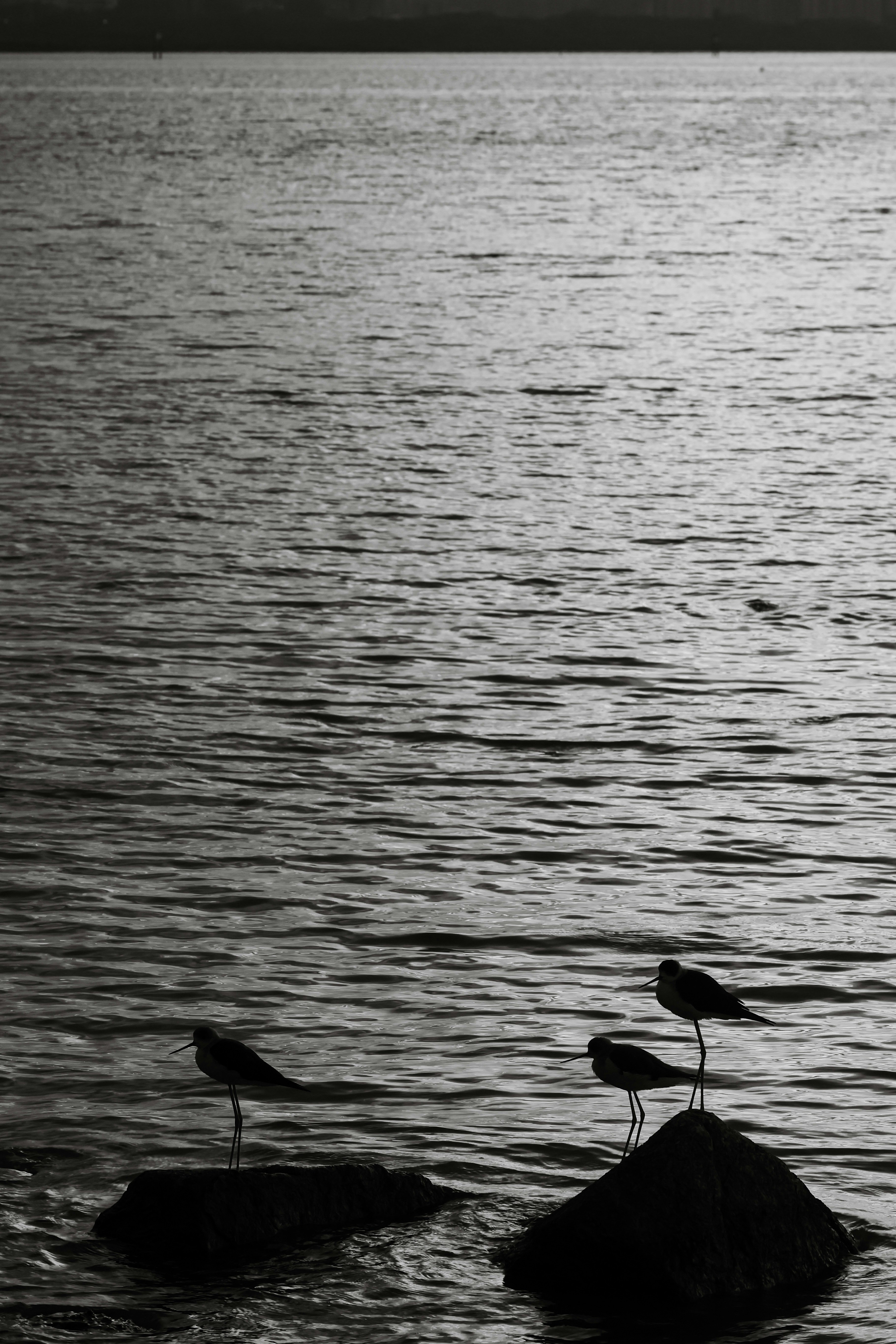 Photo by dickenslin76