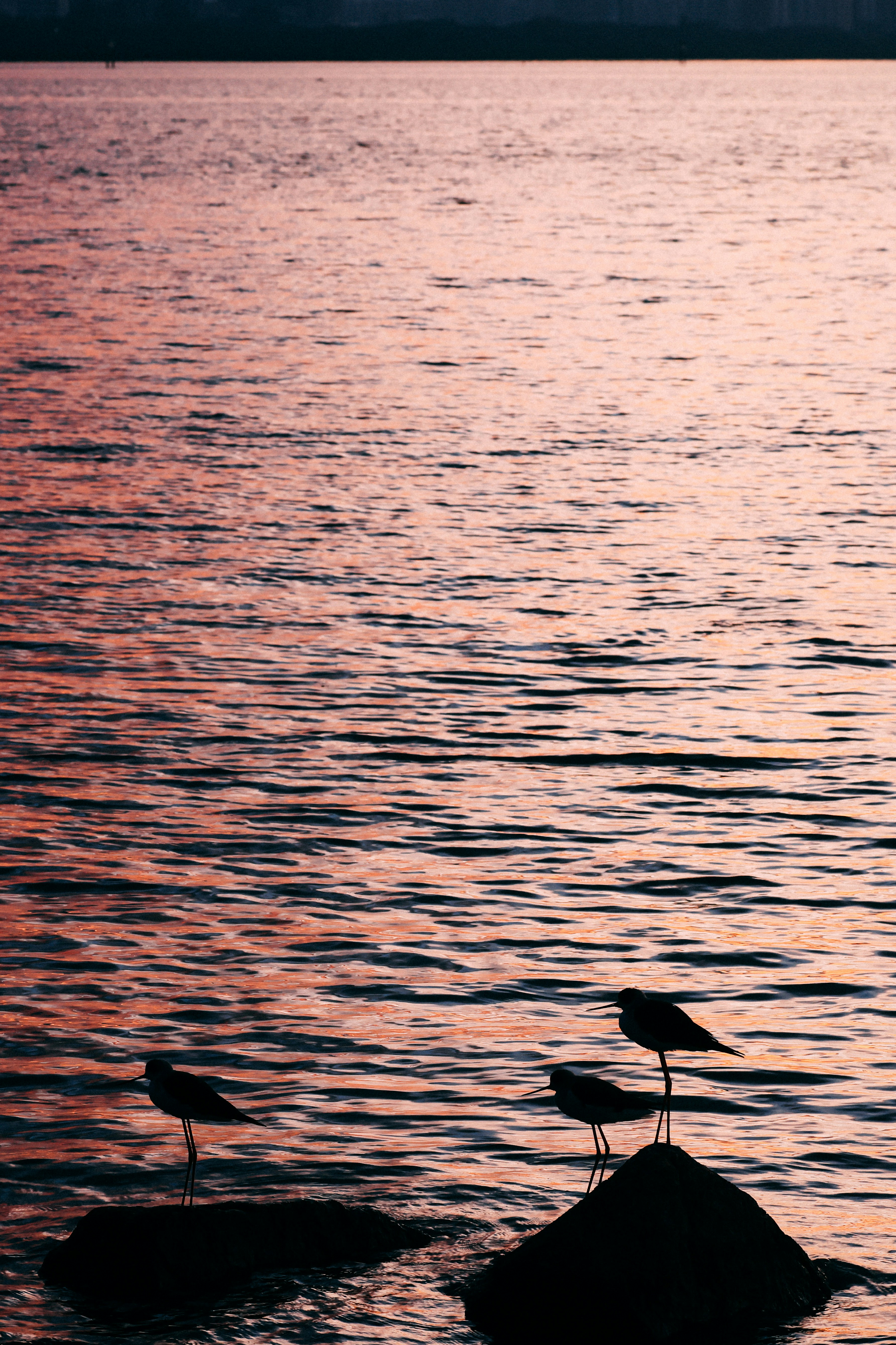 Photo by dickenslin76