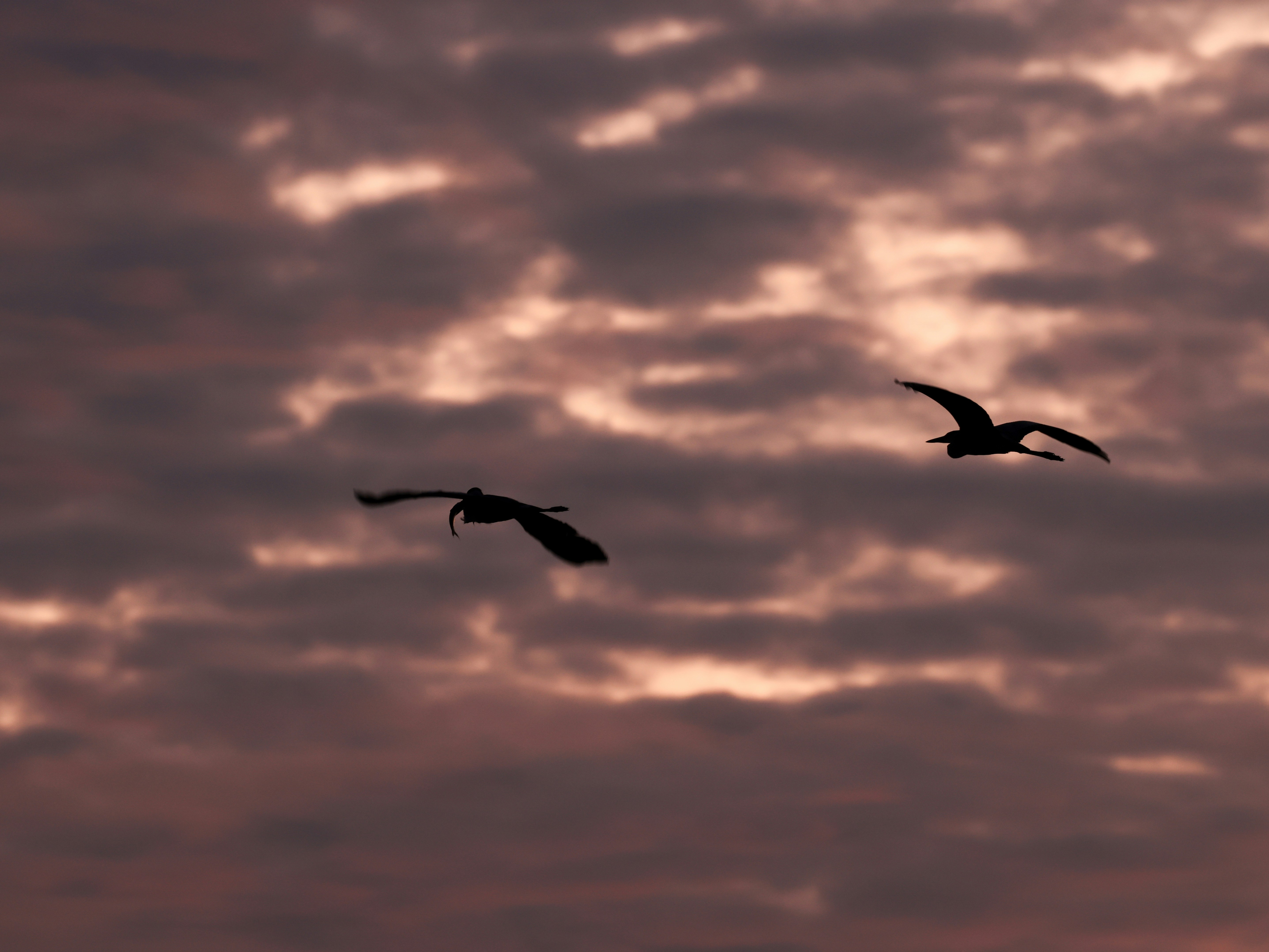 Photo by dickenslin76