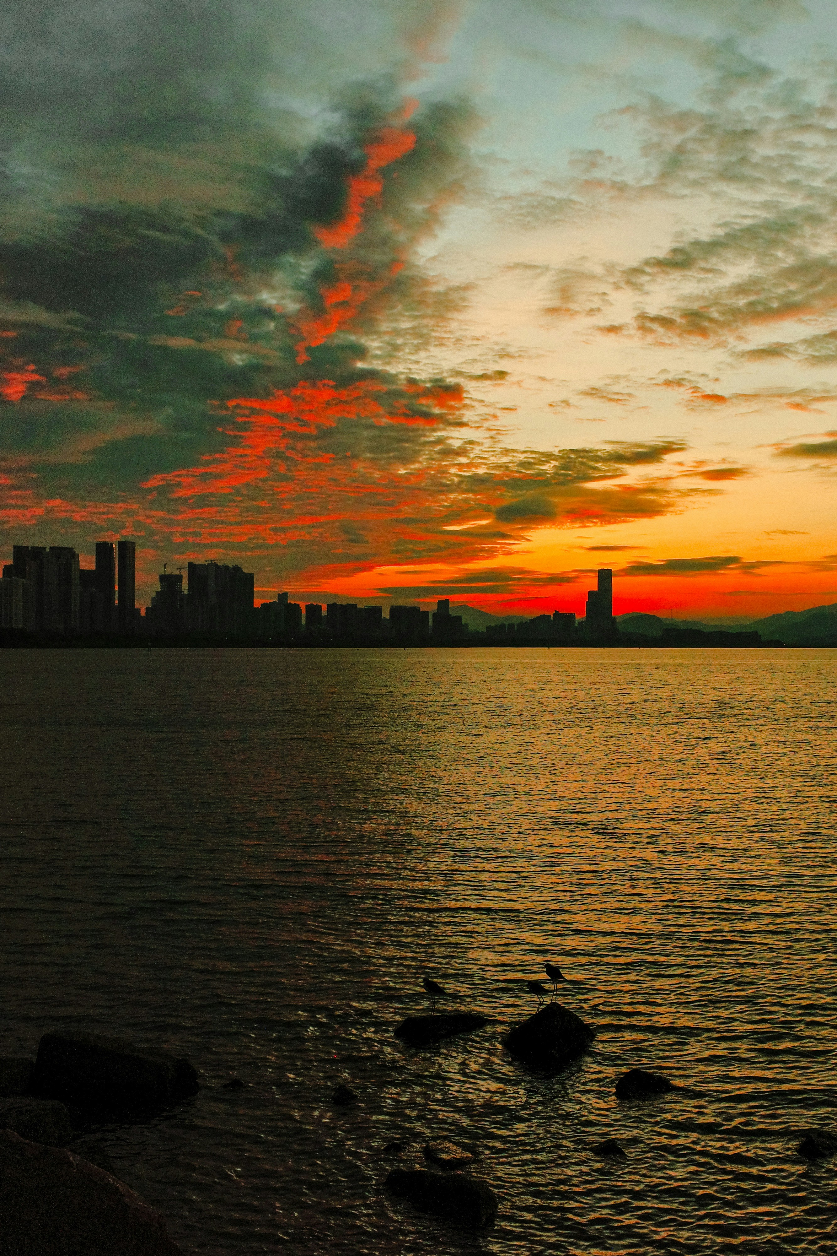 Photo by dickenslin76