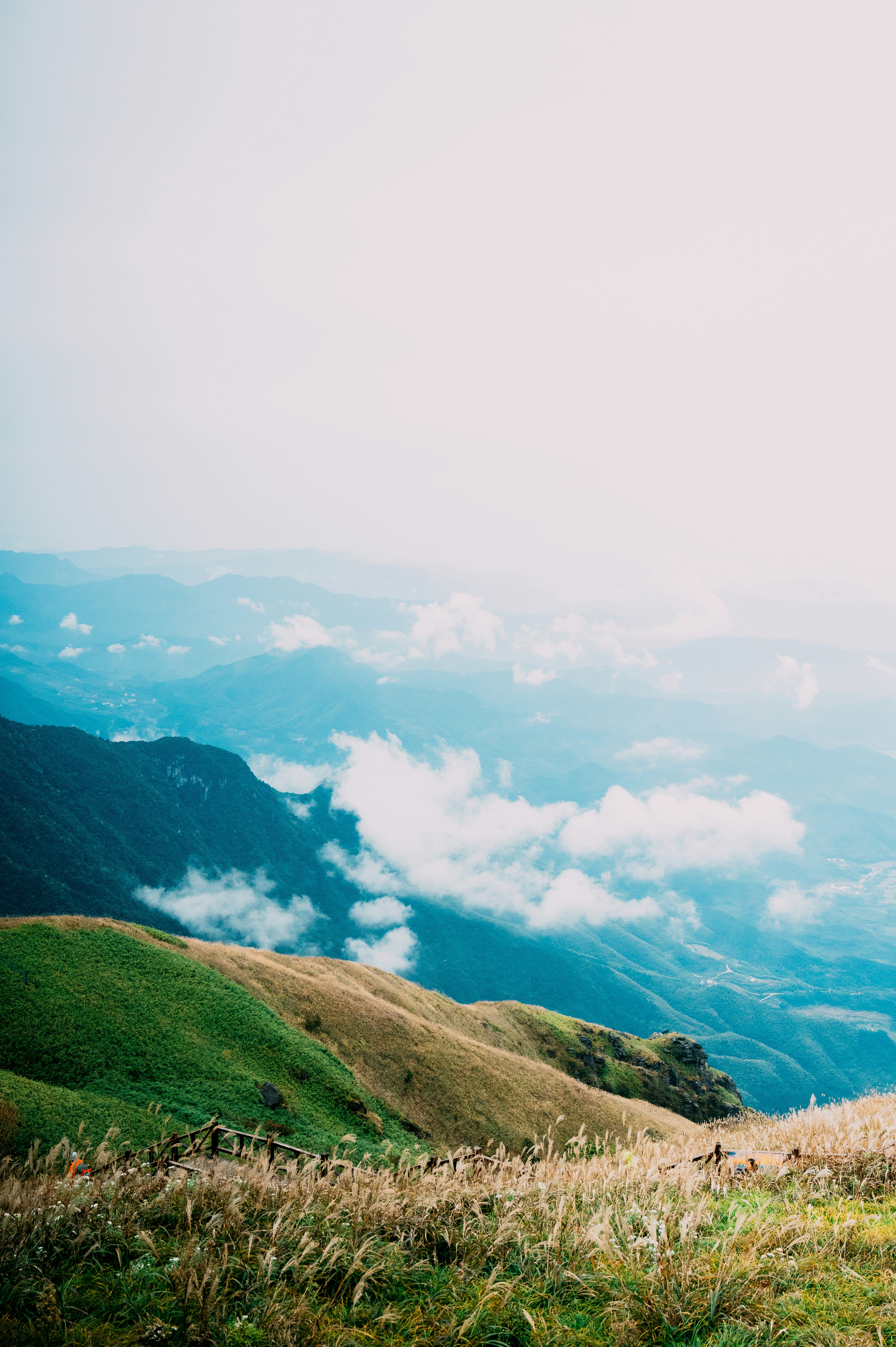 Photo by barrypotter