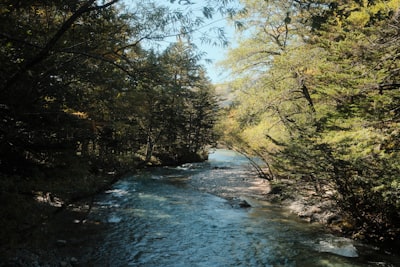 Gifu Hidden Gems: Gujo Hachiman, Magome Post Town & Mountain Shrines
