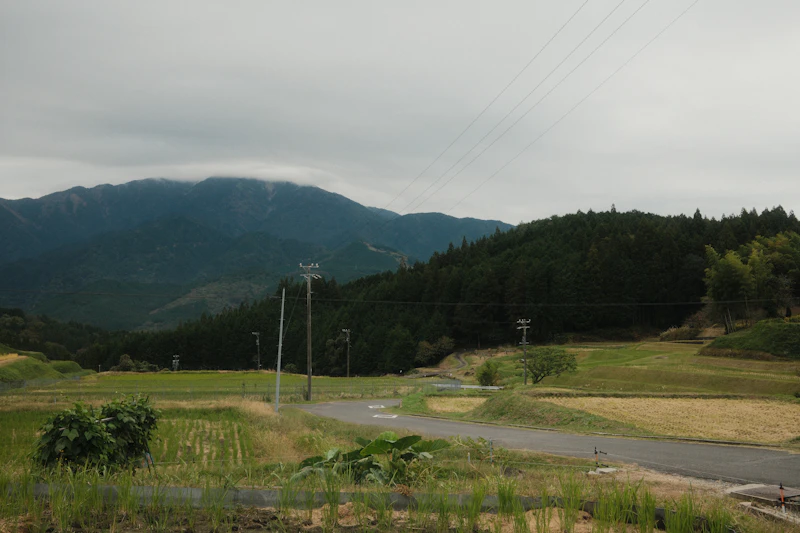 Tohoku Food Guide: The Underrated Cuisine of Japan's North