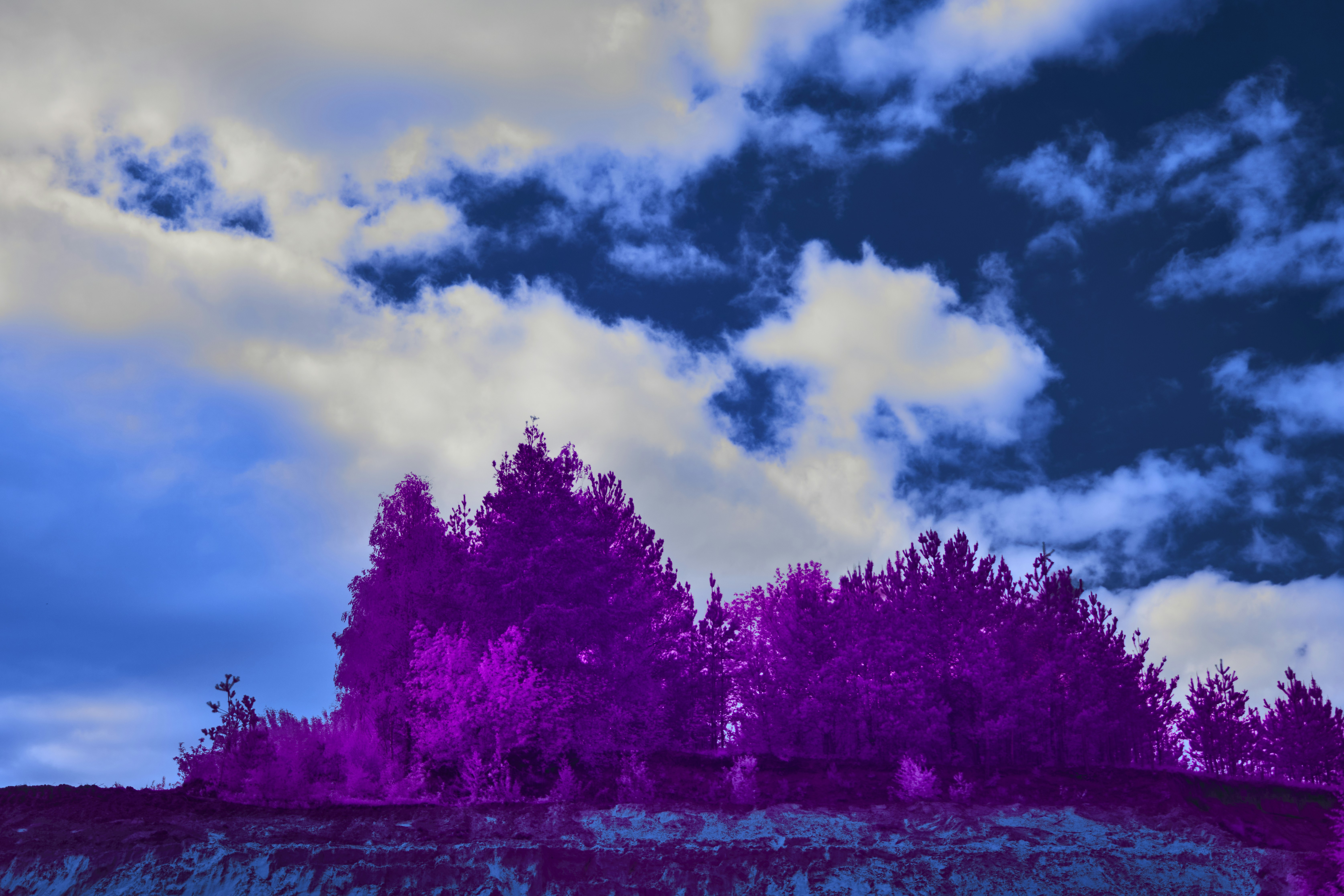 Photo by wolfgang_hasselmann