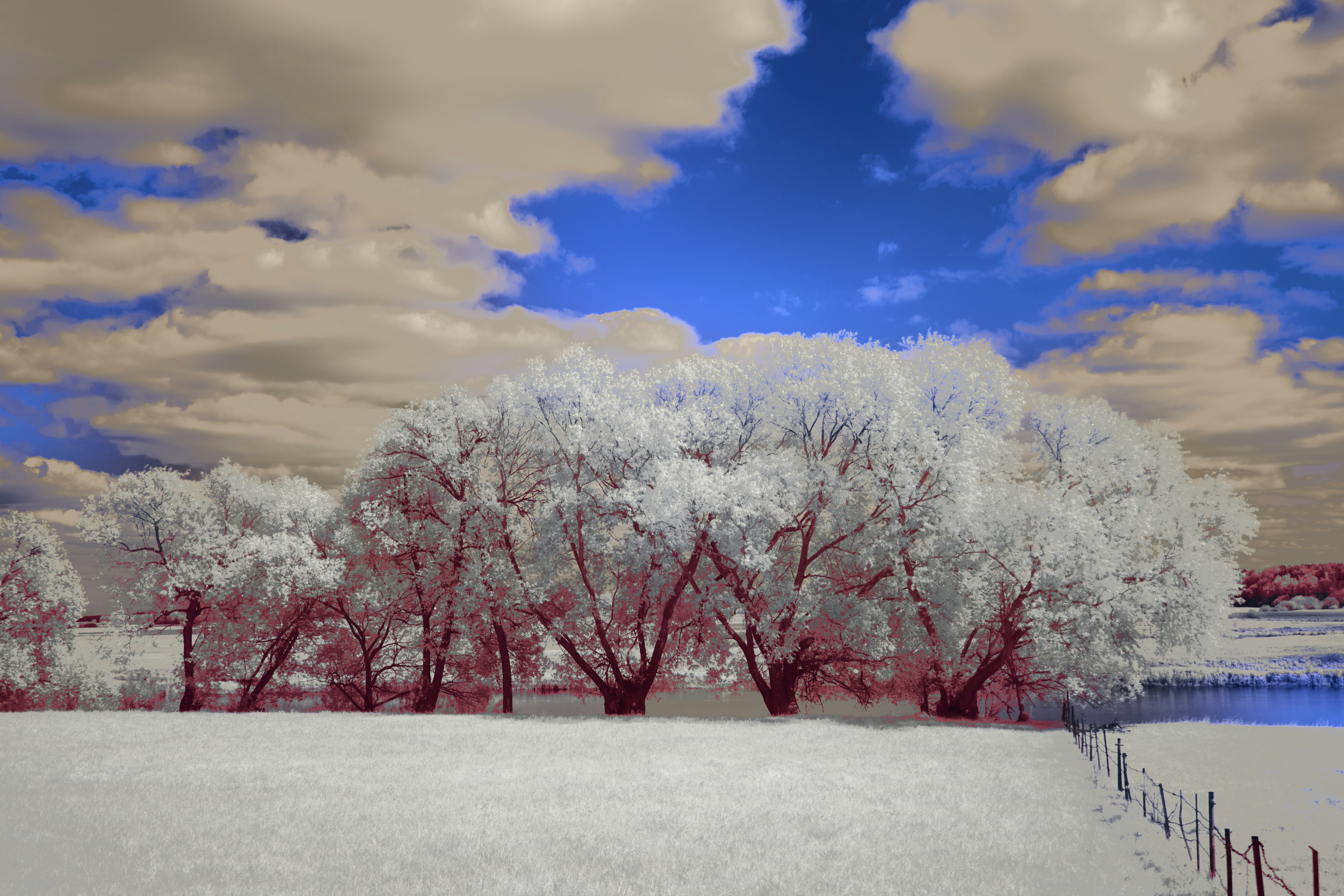 Photo by wolfgang_hasselmann