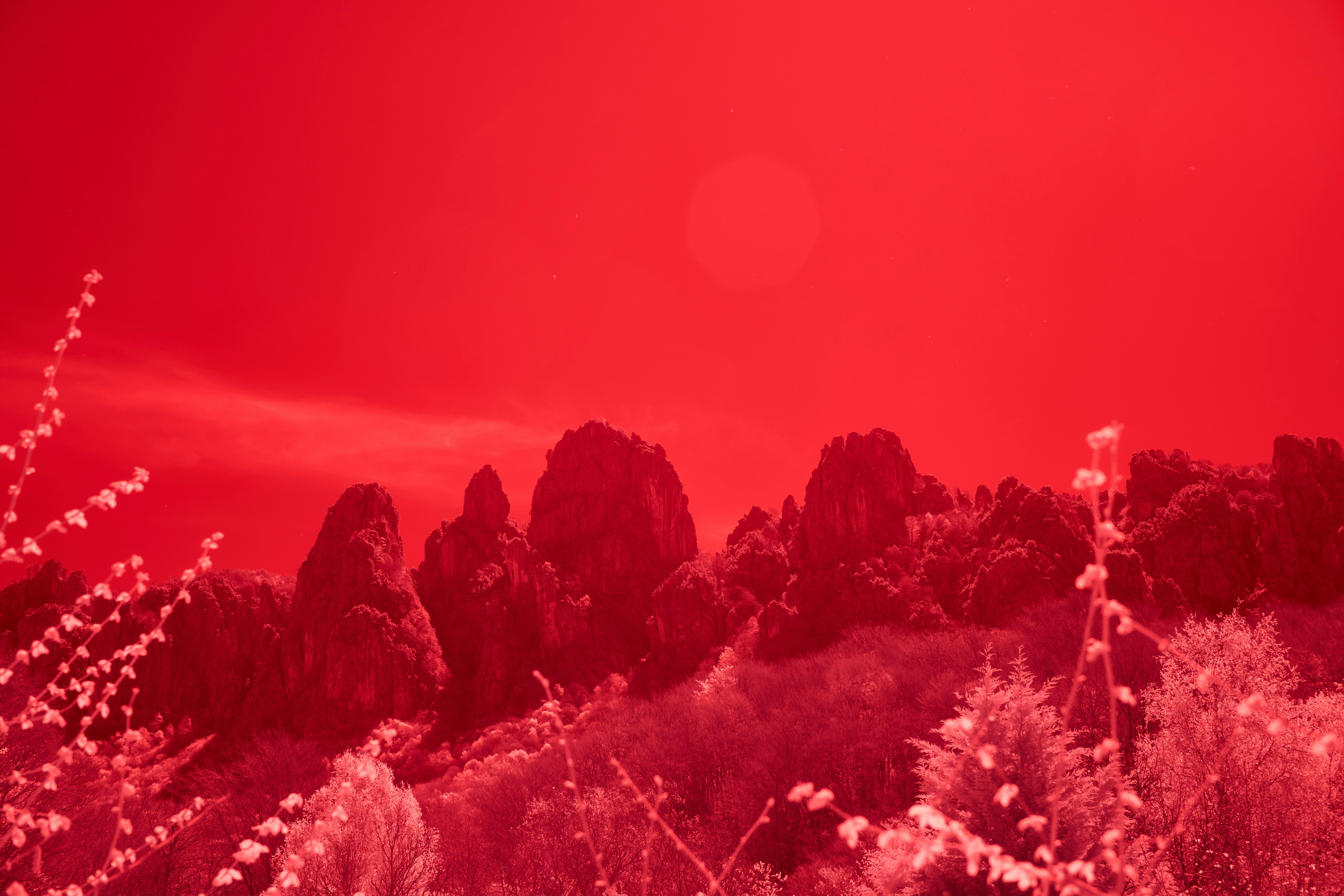 Photo by wolfgang_hasselmann