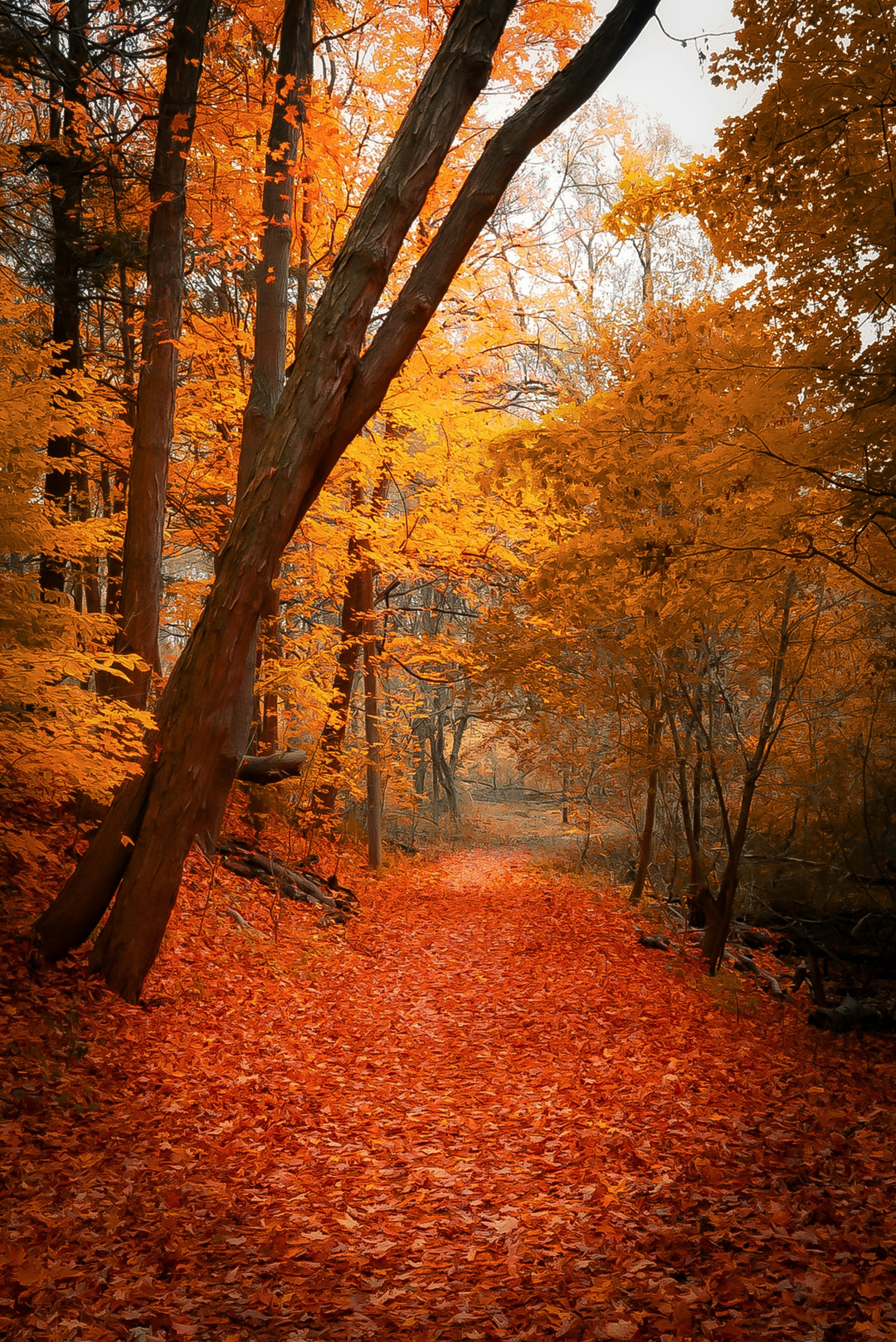 Photo by meri_vasilevski