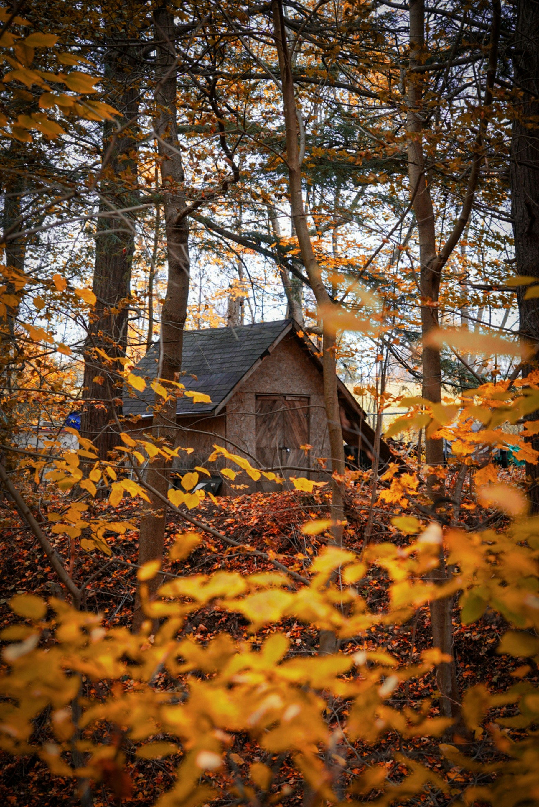 Photo by meri_vasilevski