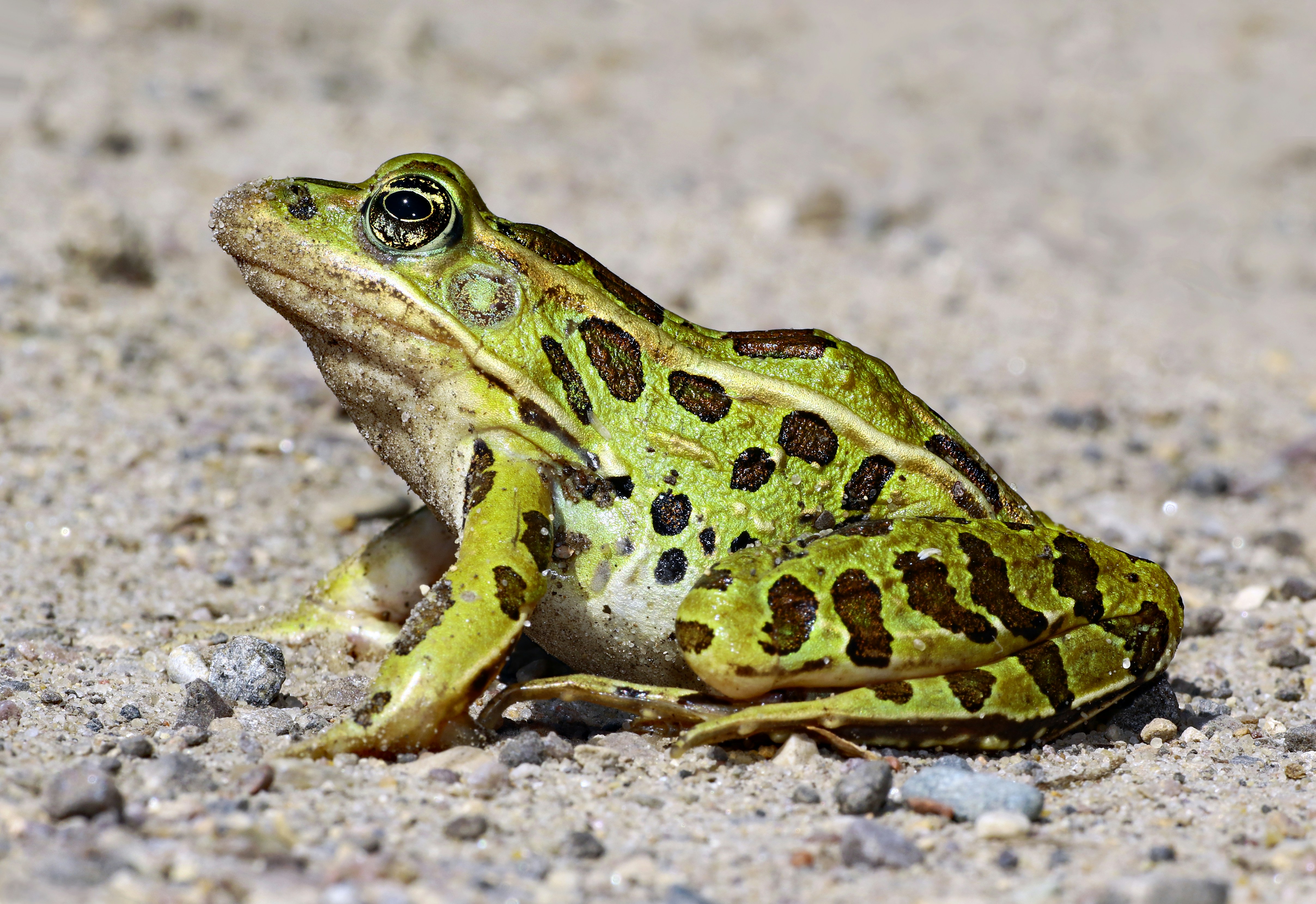 Photo by telliottmbamsc