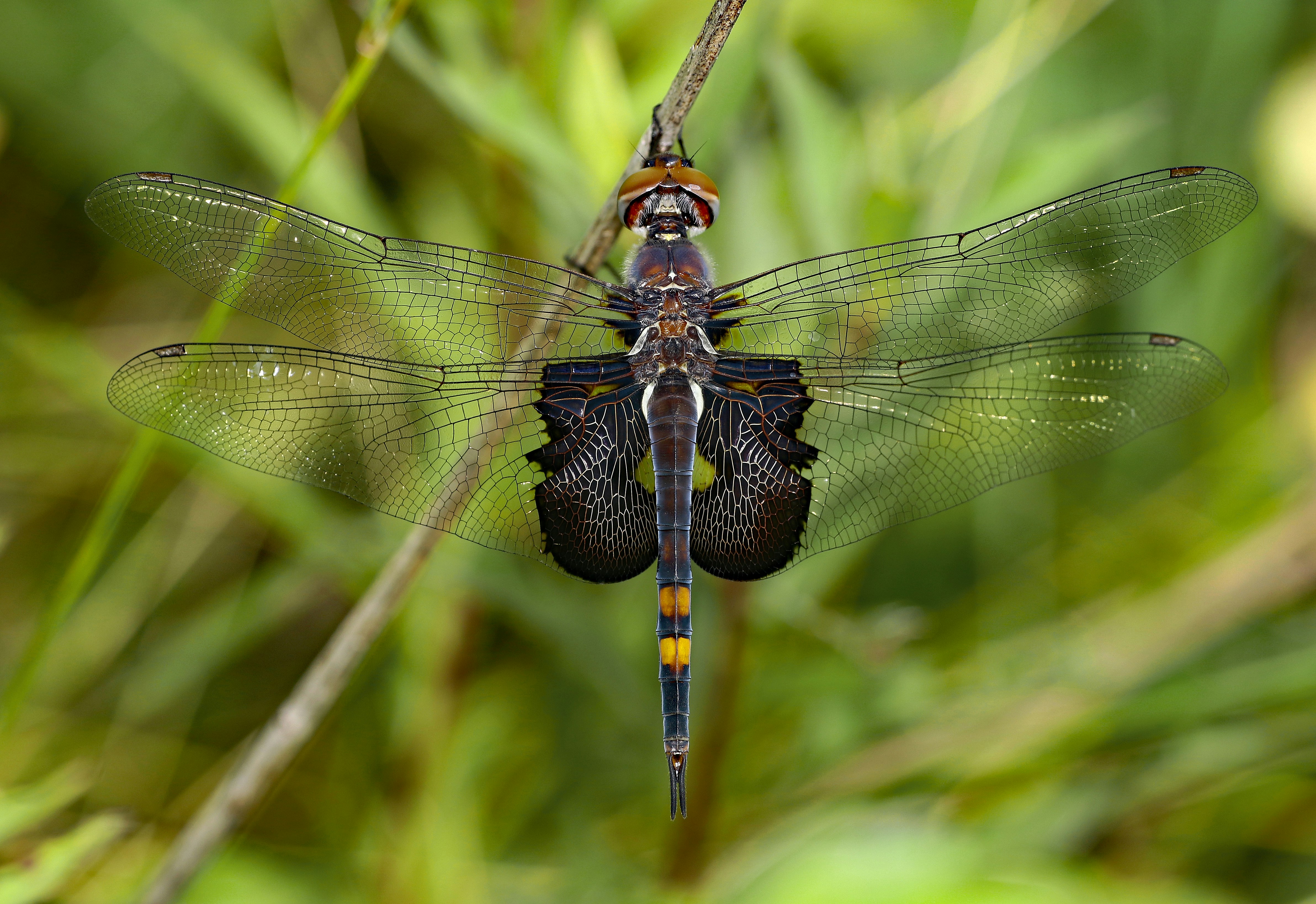 Photo by telliottmbamsc