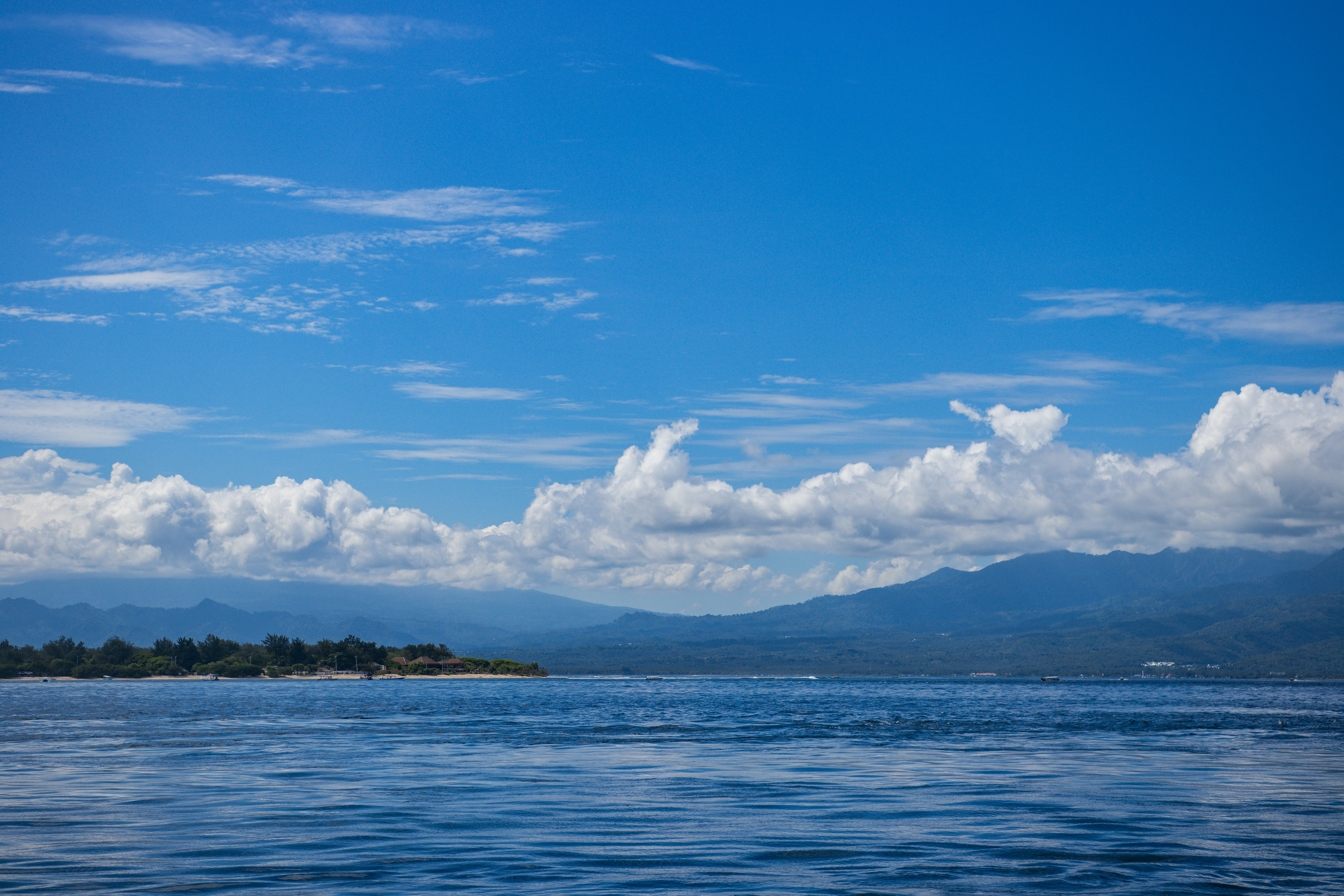 Photo by lapulapu133