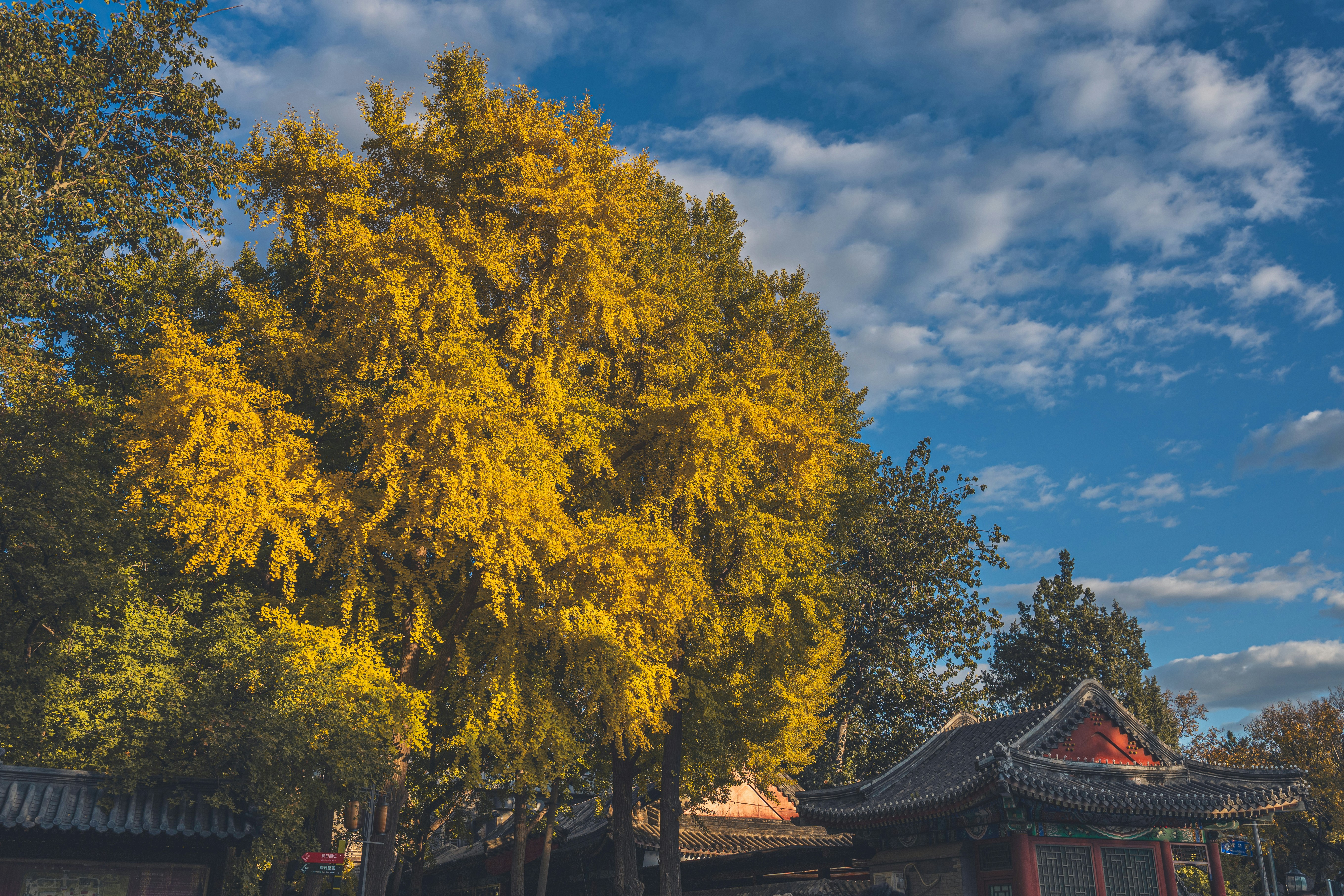 Photo by peek_a_boo_who