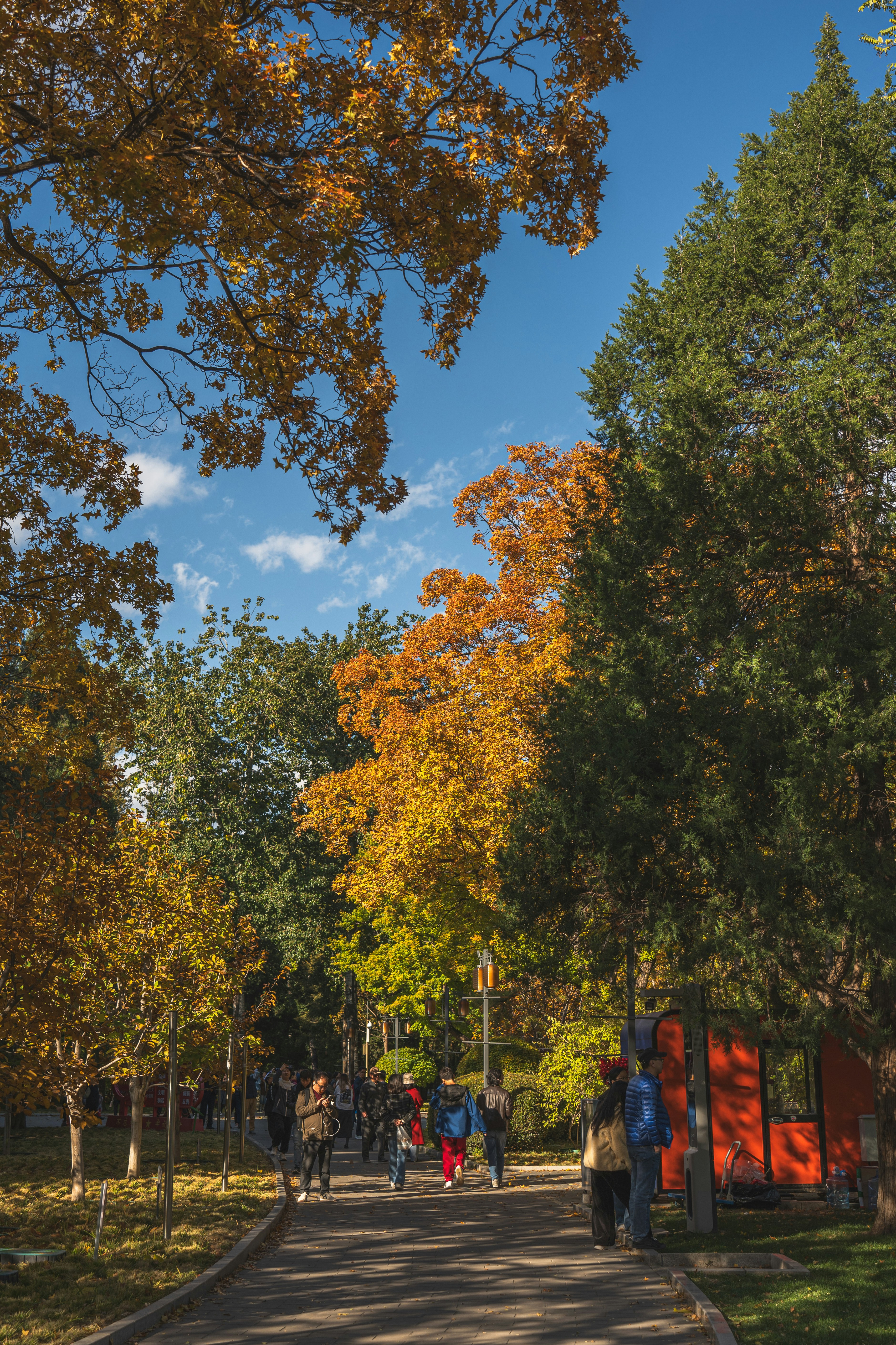 Photo by peek_a_boo_who