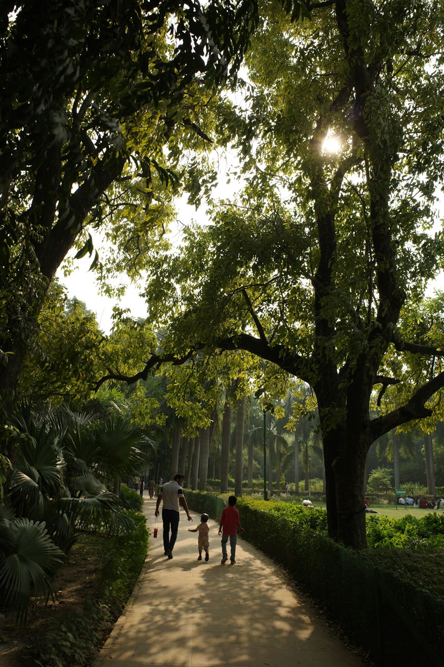 People walking away down a shaded park path under tall trees